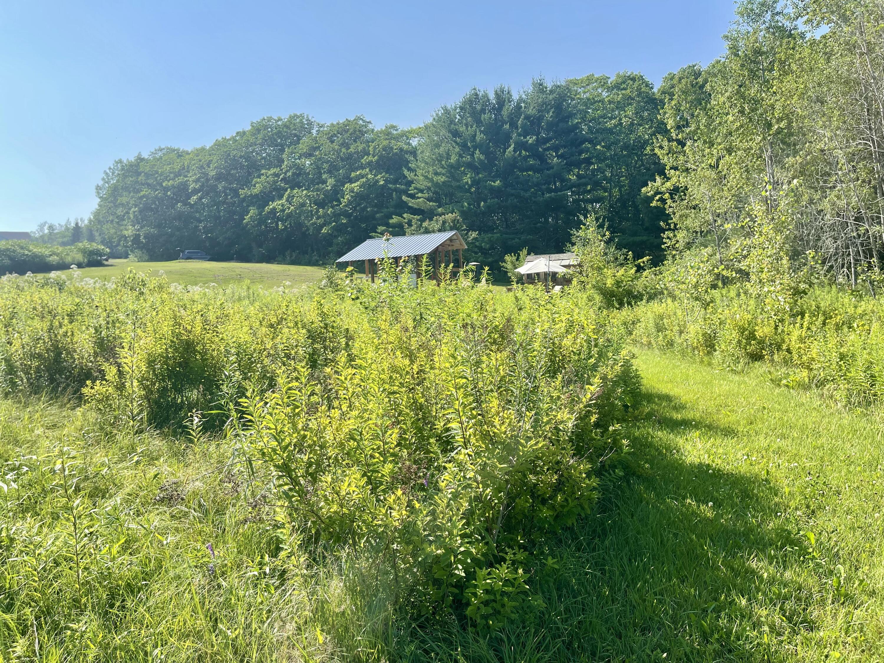 102 Back Meadow Drive