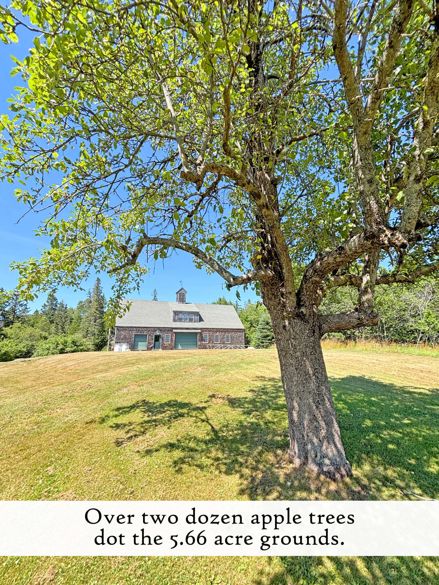 26 Cape Road