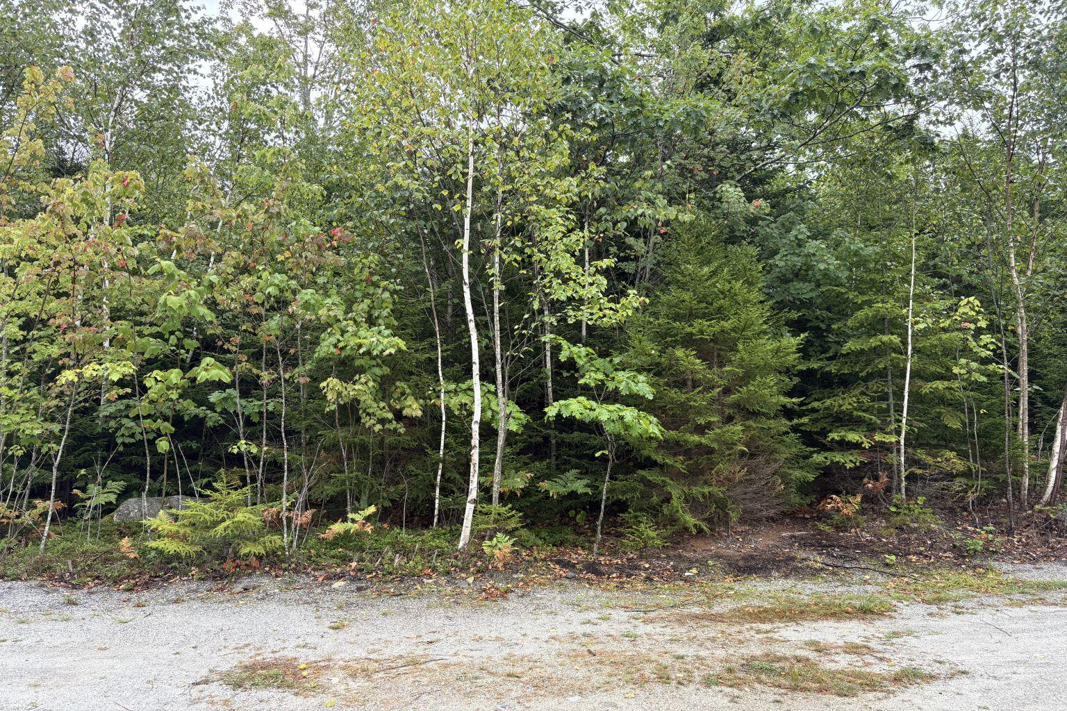 12 West Wind Drive