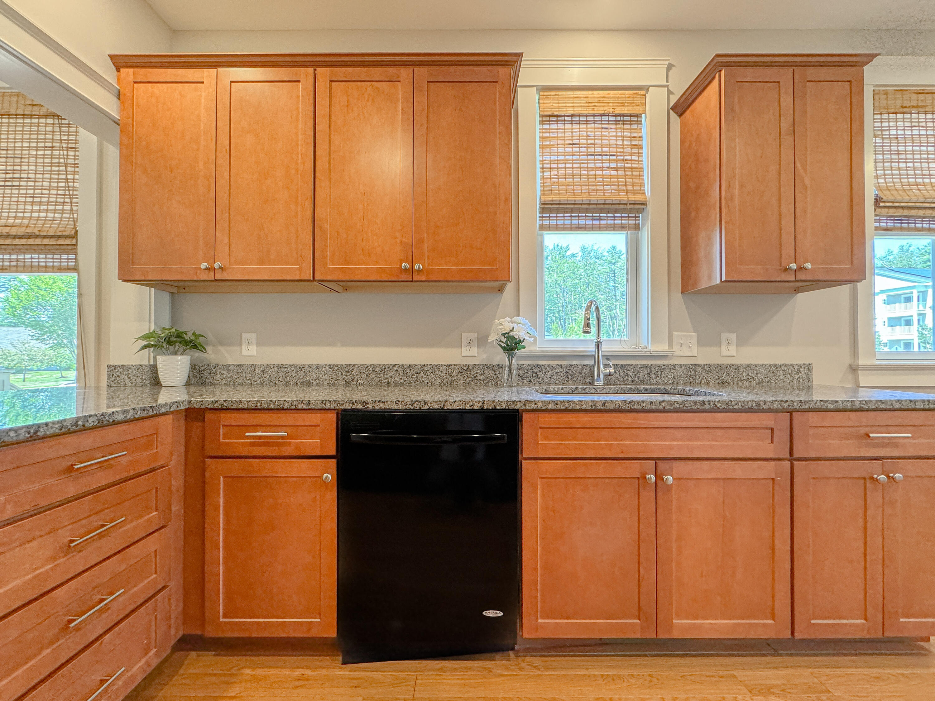 24 Ballantyne Drive 0
