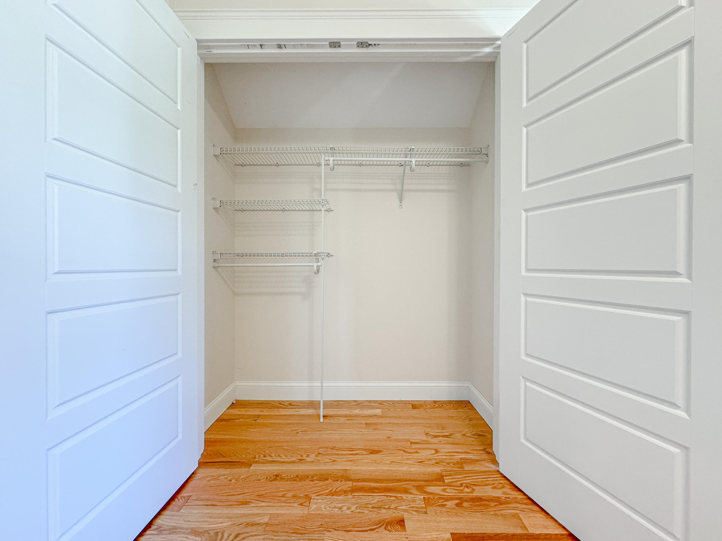 24 Ballantyne Drive 0