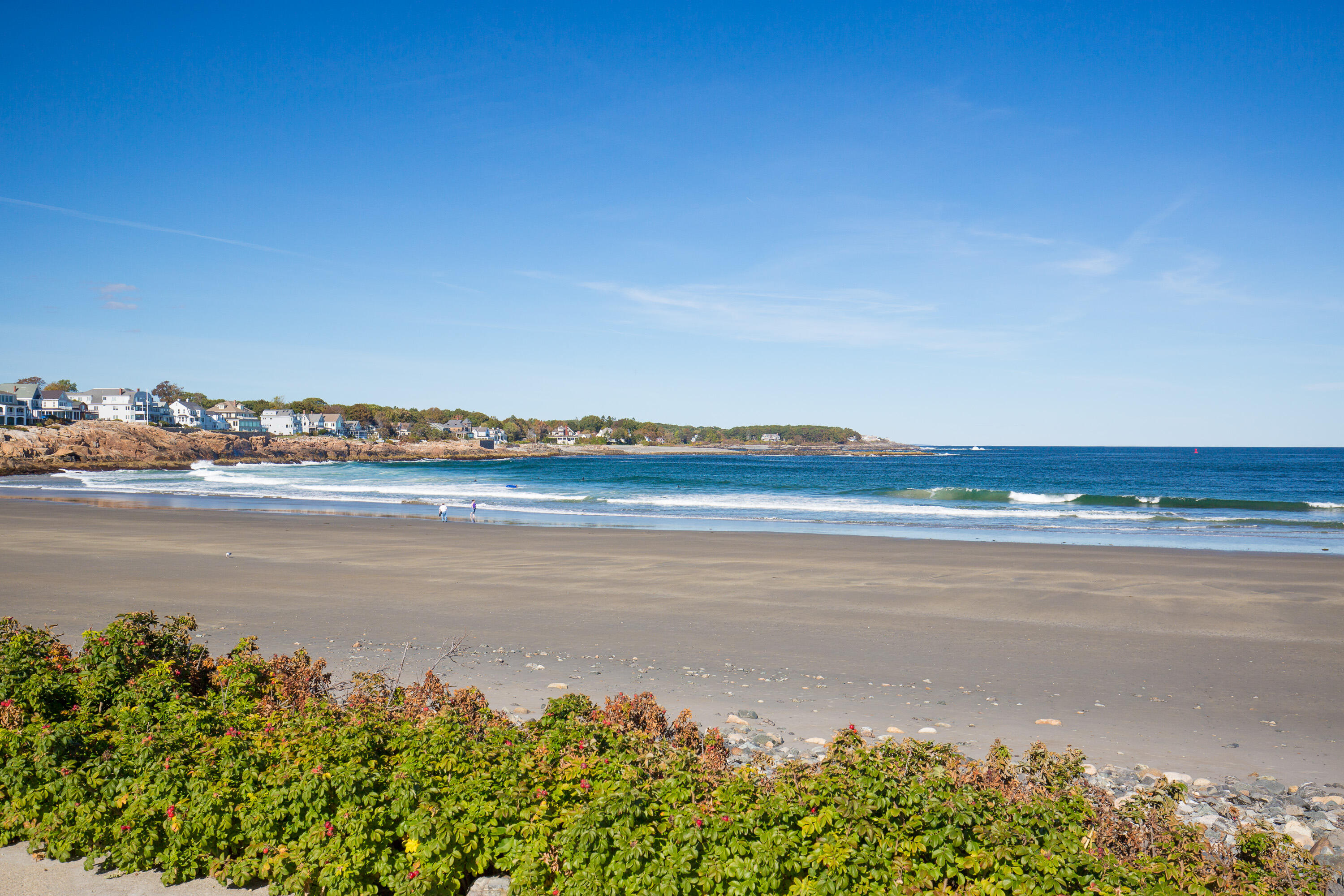 31 Ocean Avenue 311