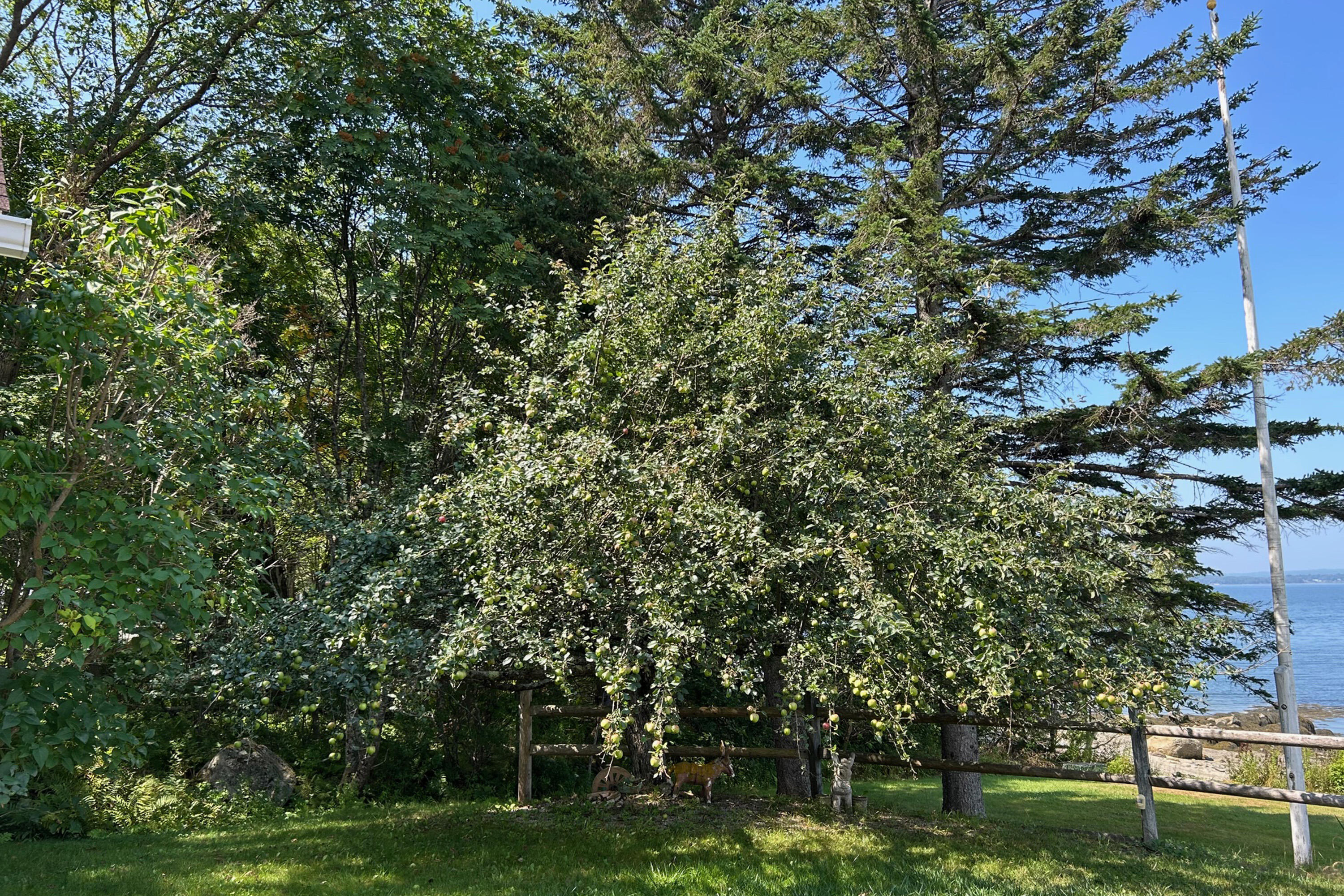 26 Loon Lane
