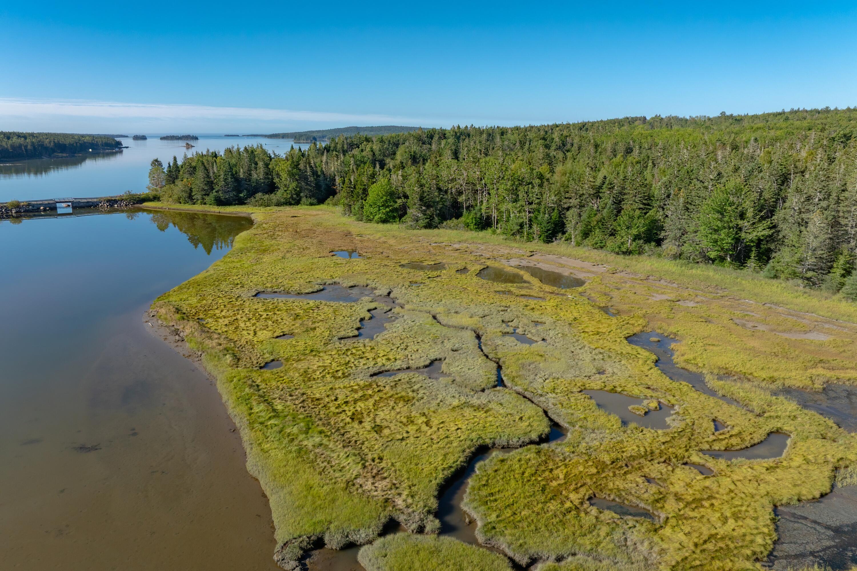 Lot 54 Pinkham Bay Bridge Road