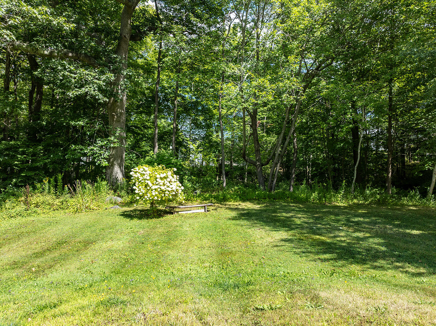 20 Belmont Avenue