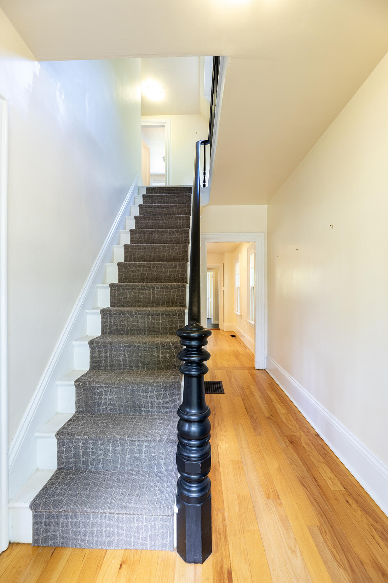 20 Belmont Avenue