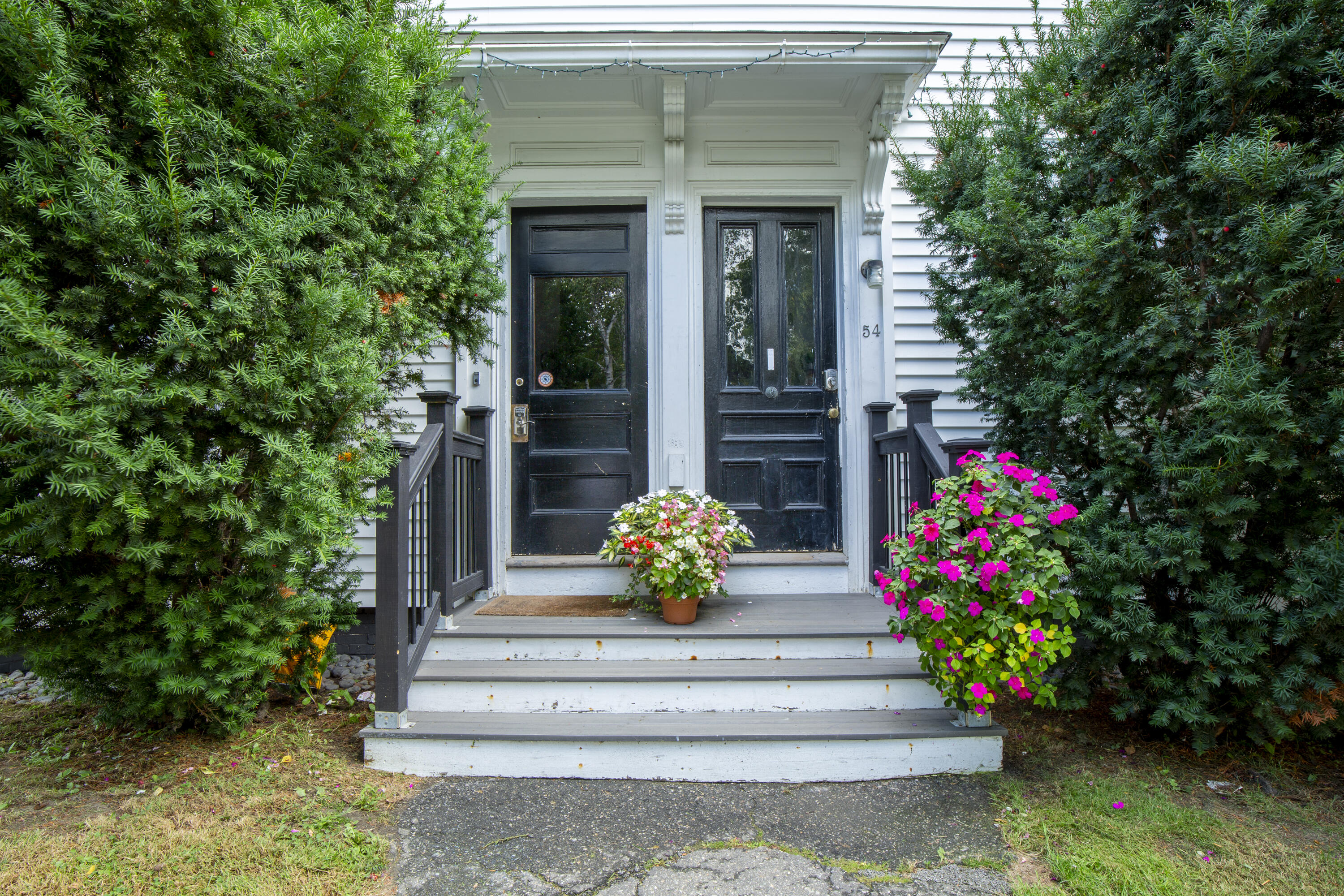 56 Elm Street