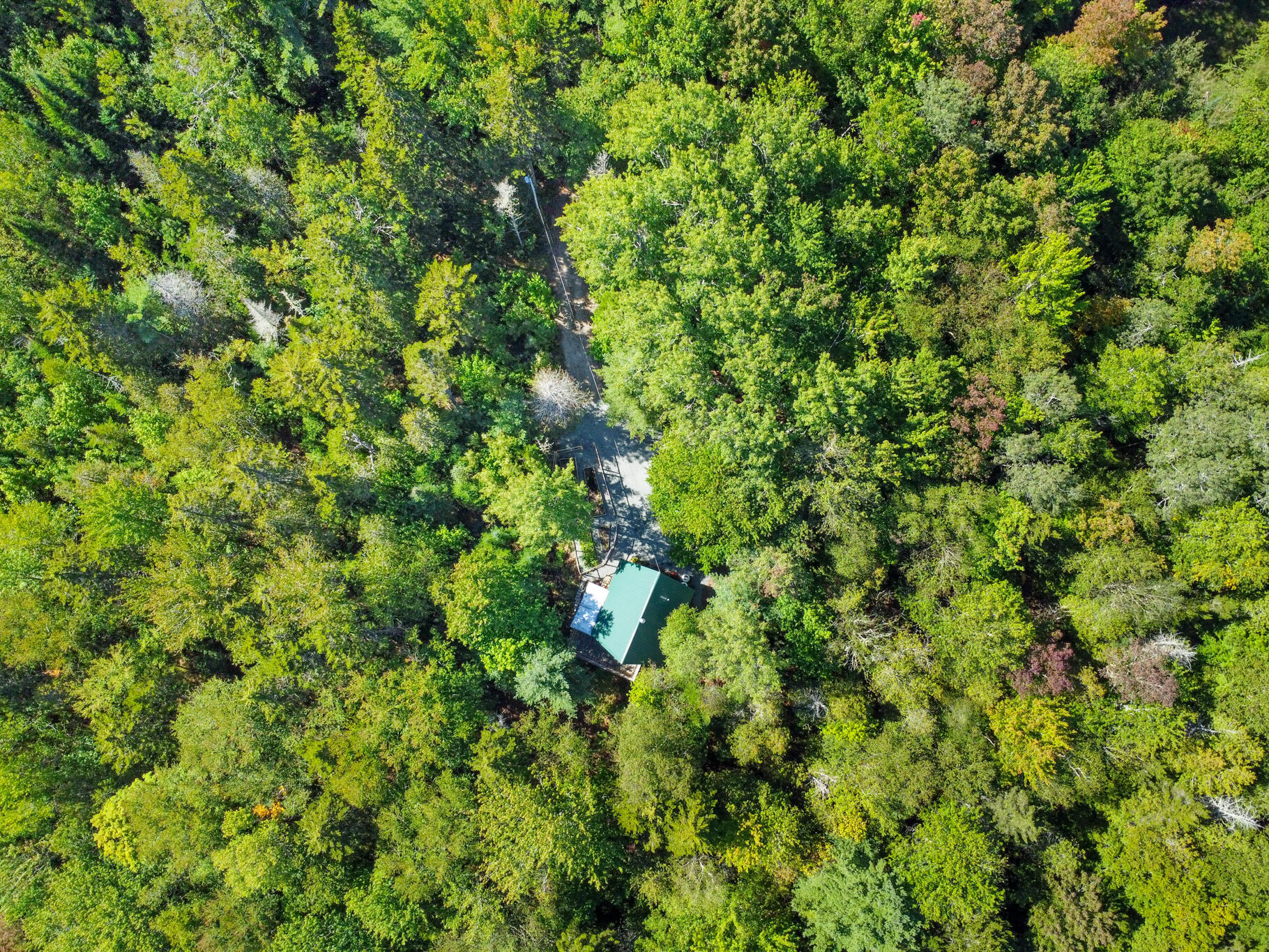 14 Highview Avenue