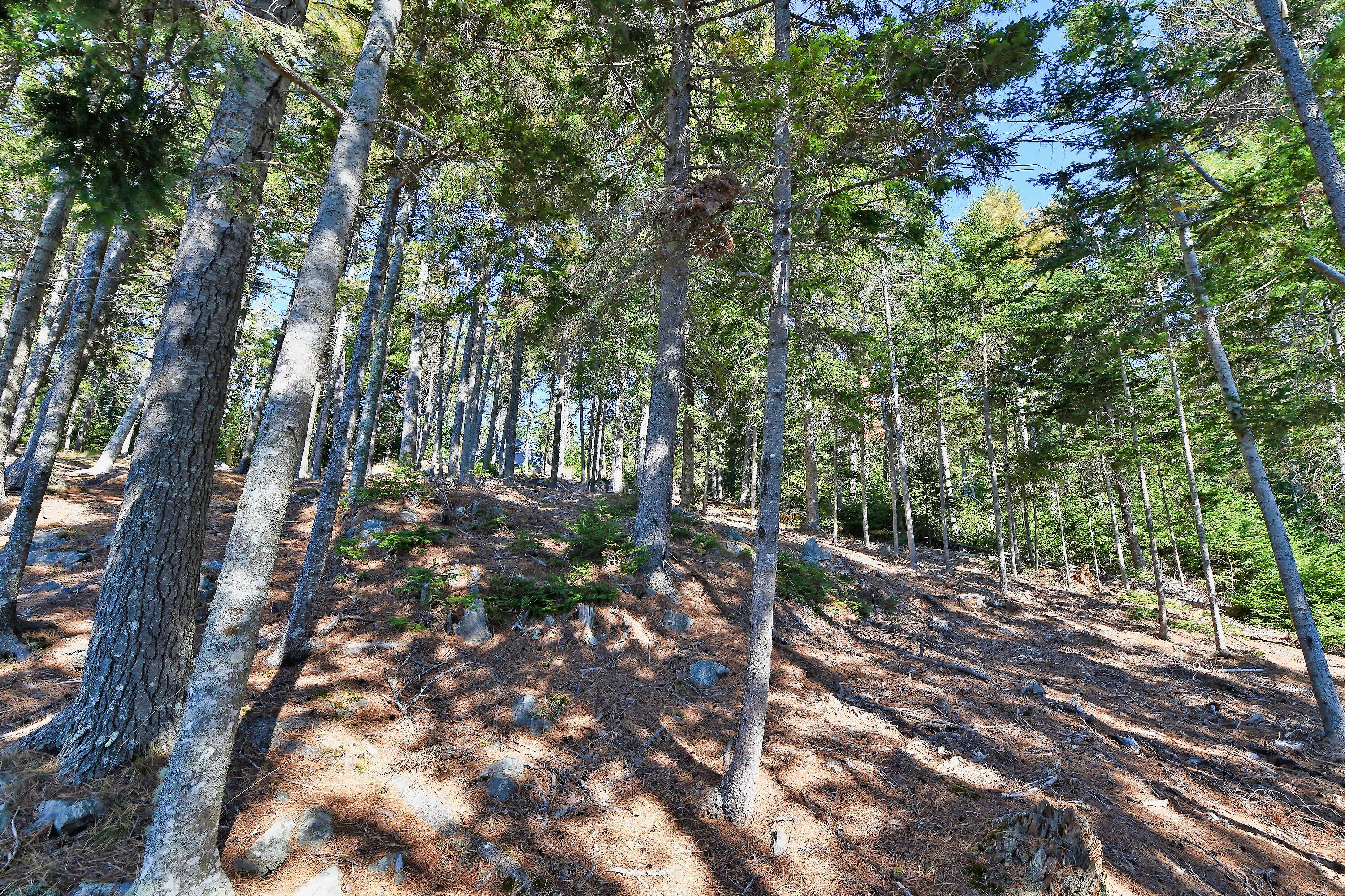 Lot 6 Sunset Road