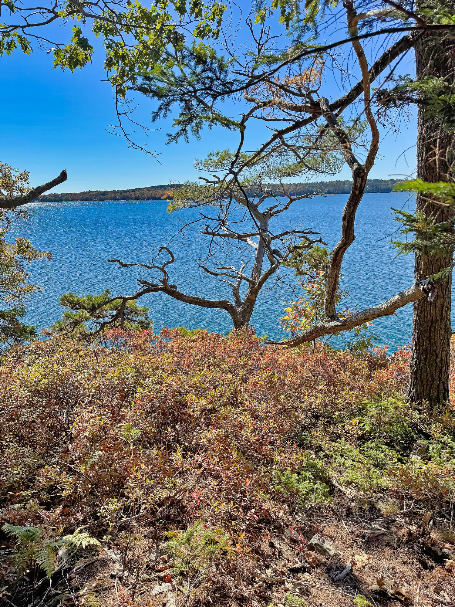 Lot 6 Sunset Road