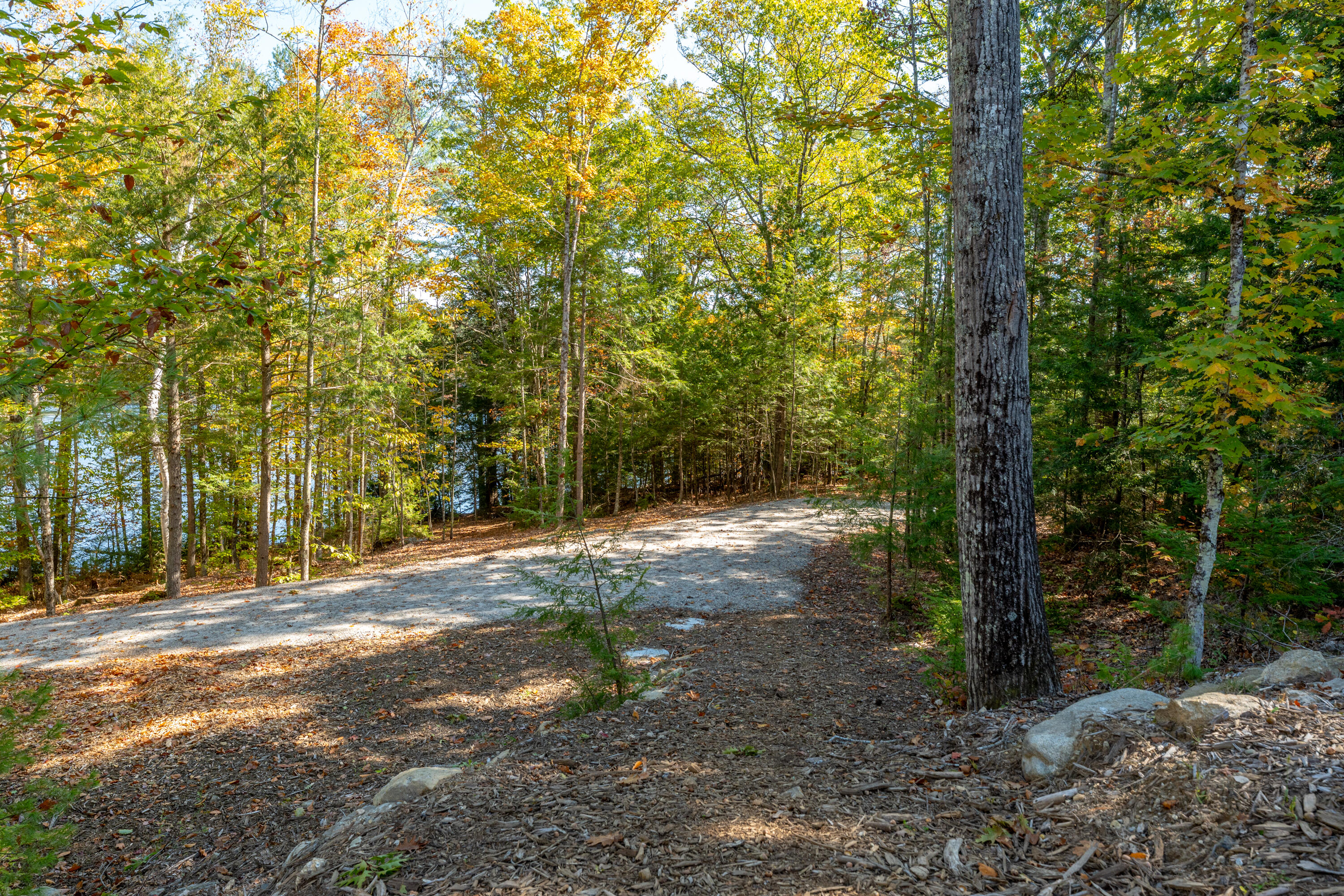 59 Bobcat Way