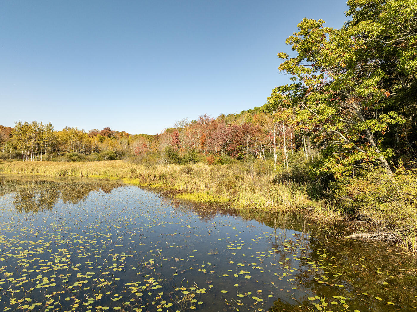 19 Lily Pond Drive