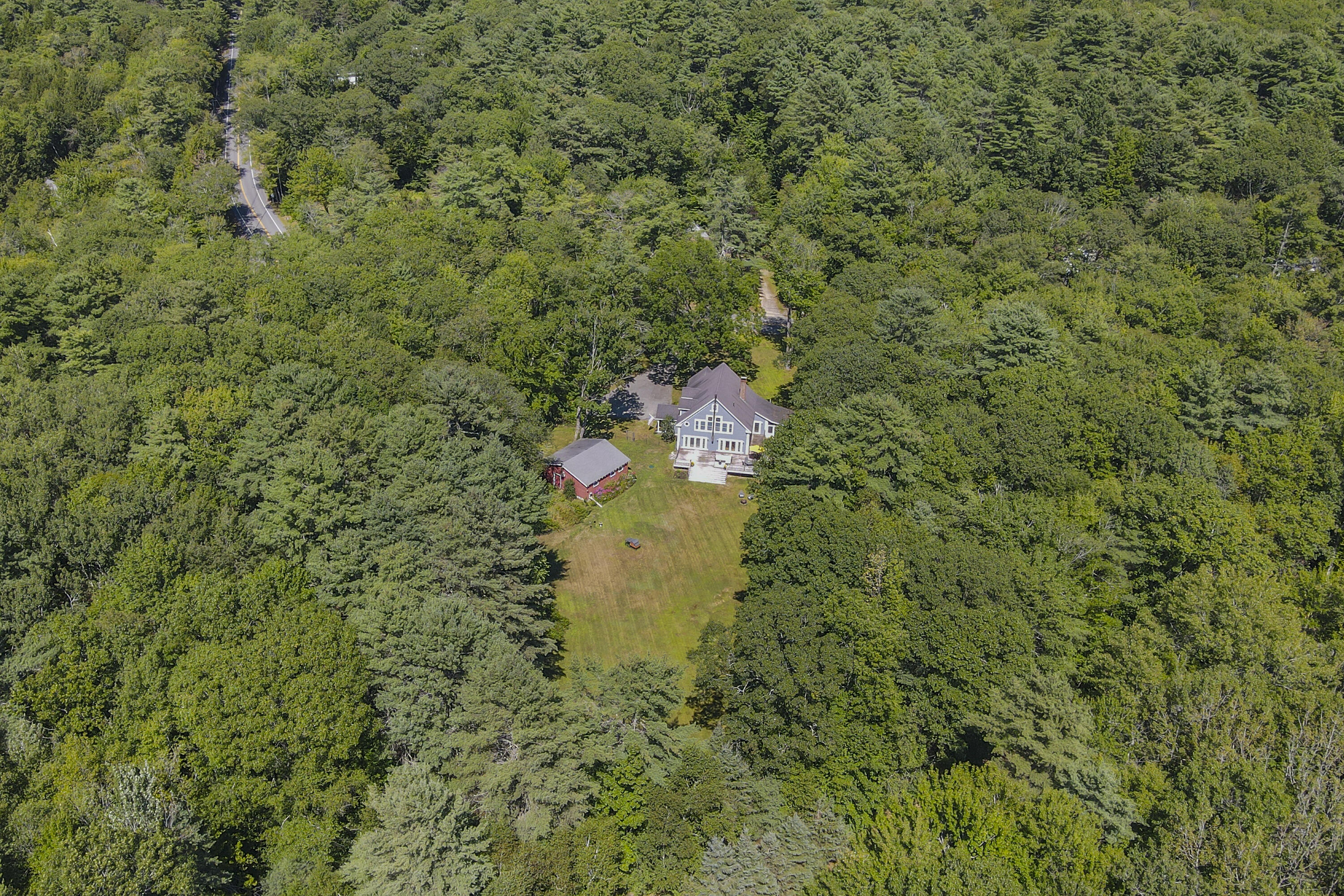 81 Desert Road