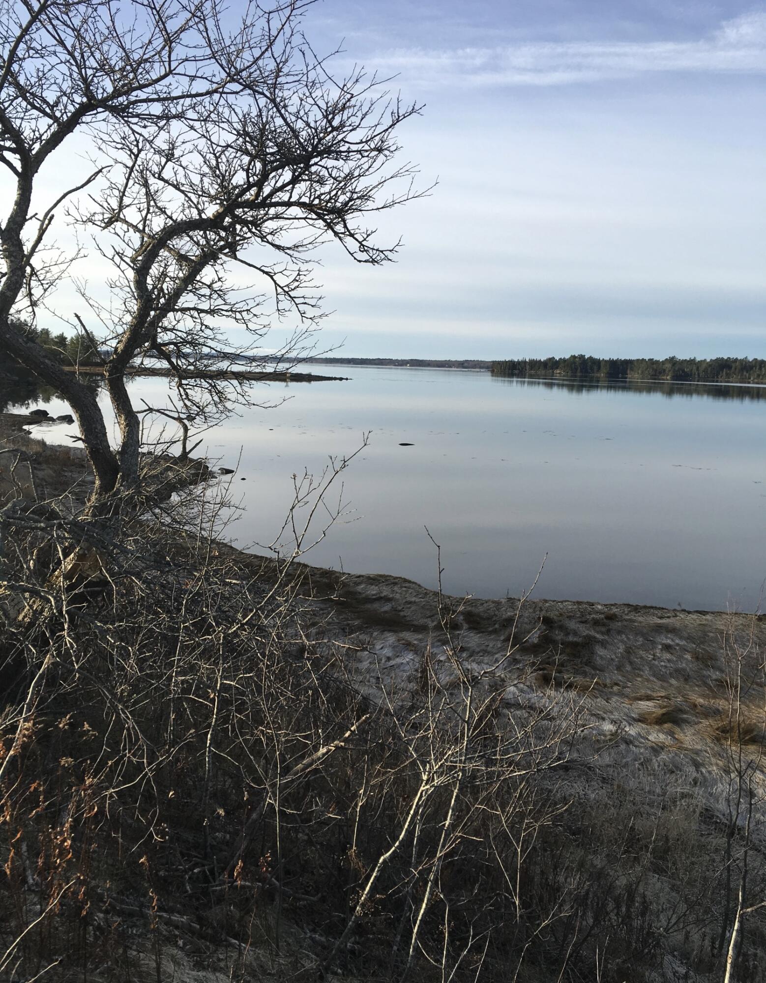 561 Bayside Road