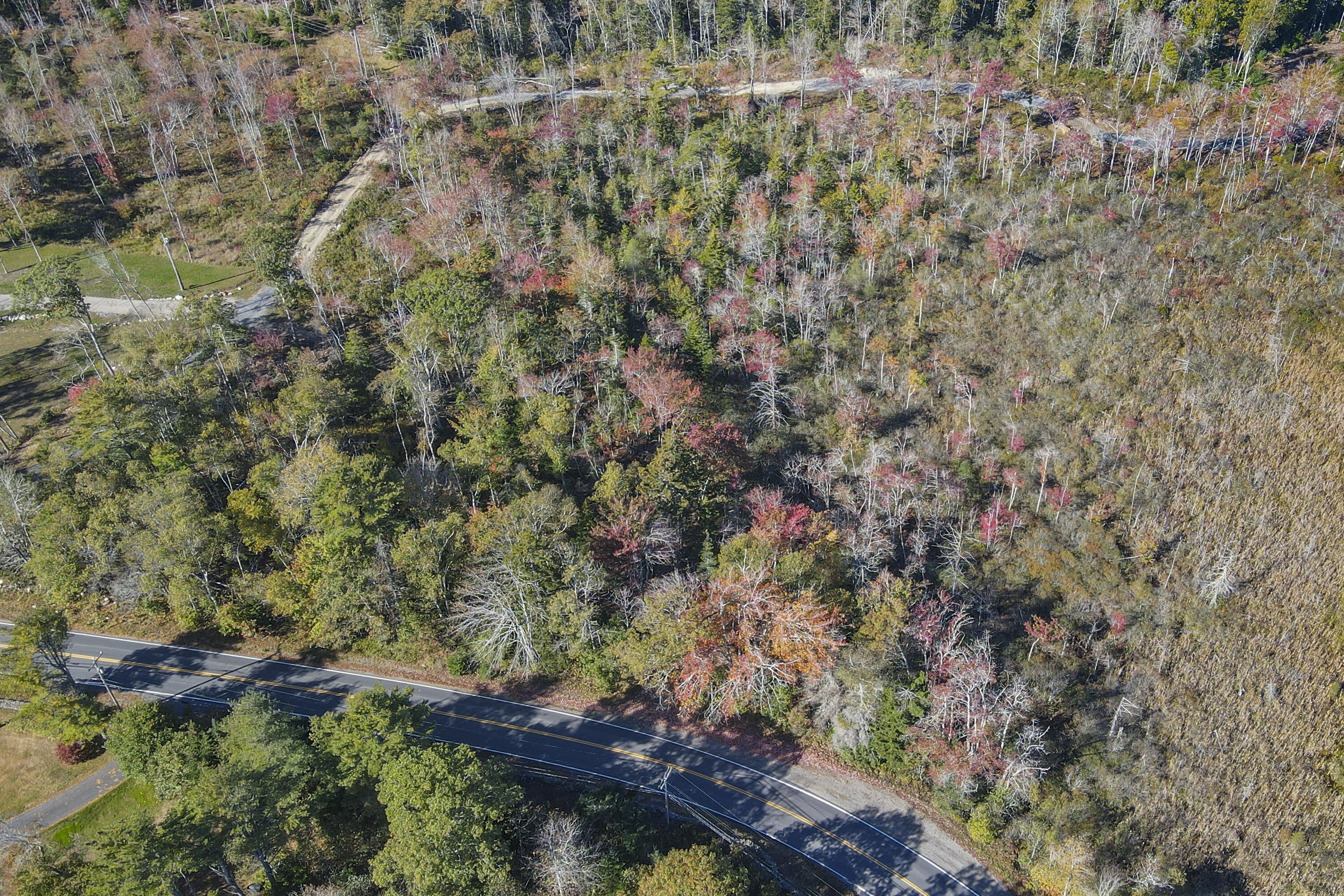 Lot 5 Jack's Lane