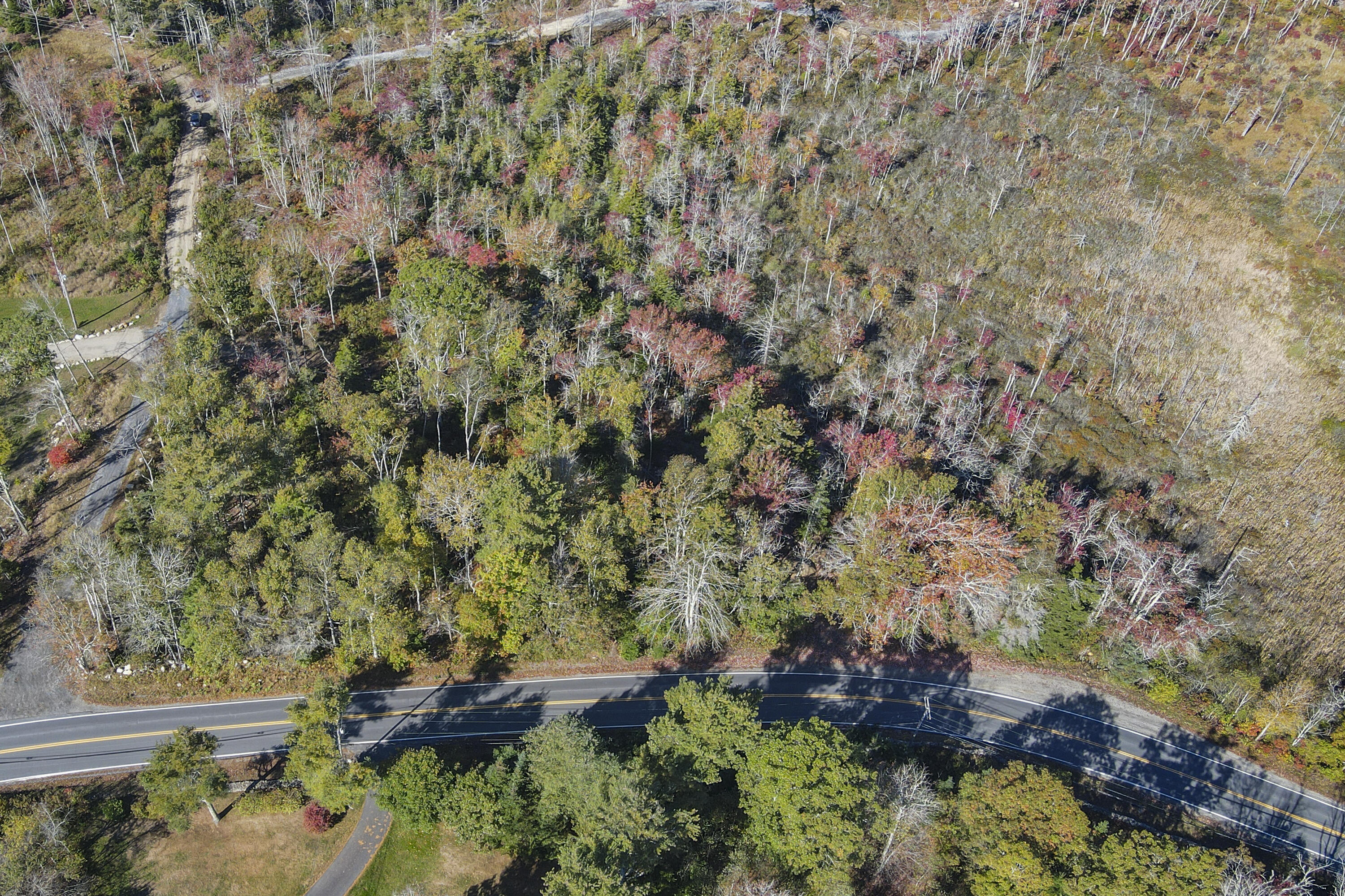 Lot 5 Jack's Lane