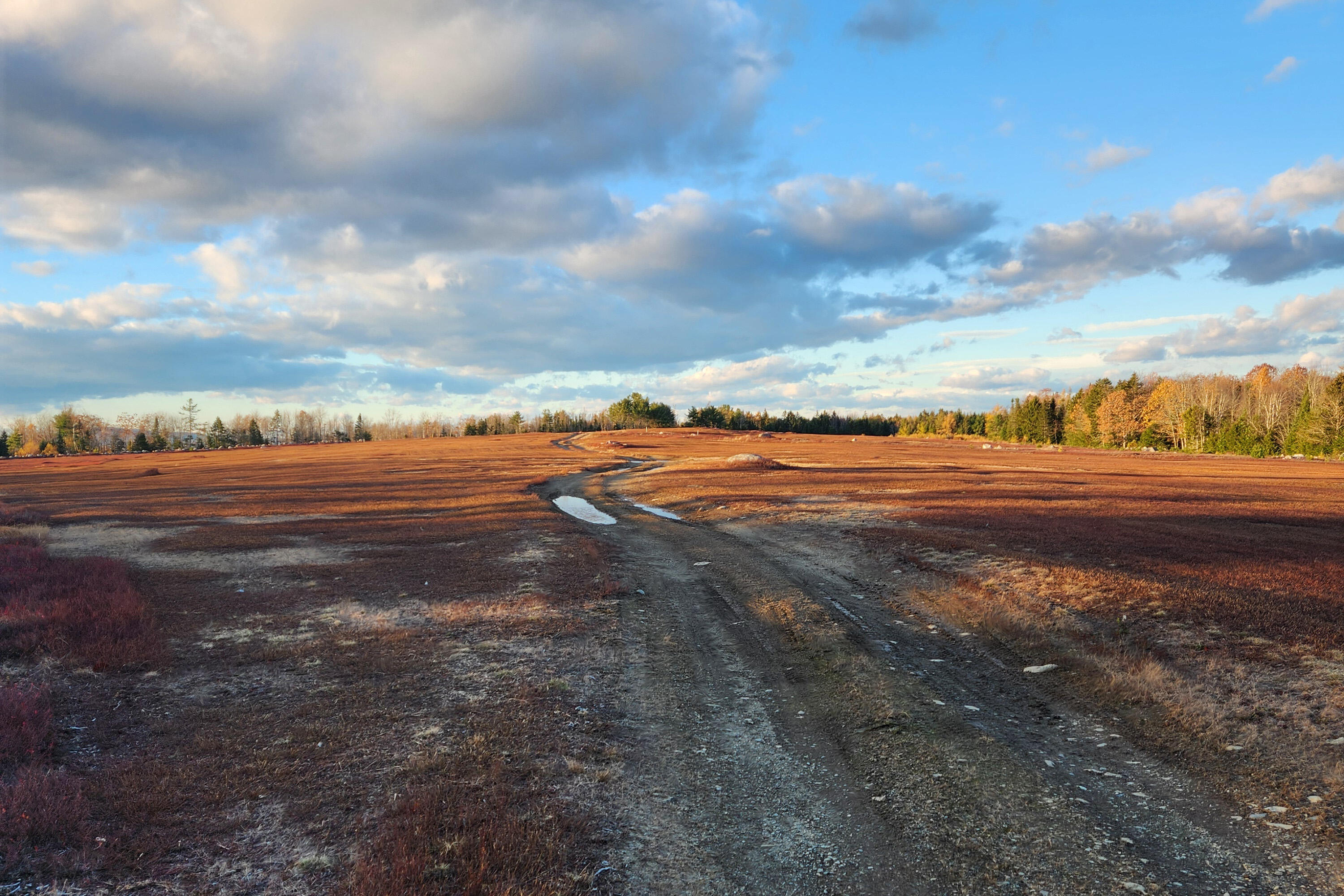 00 Dunbar Road
