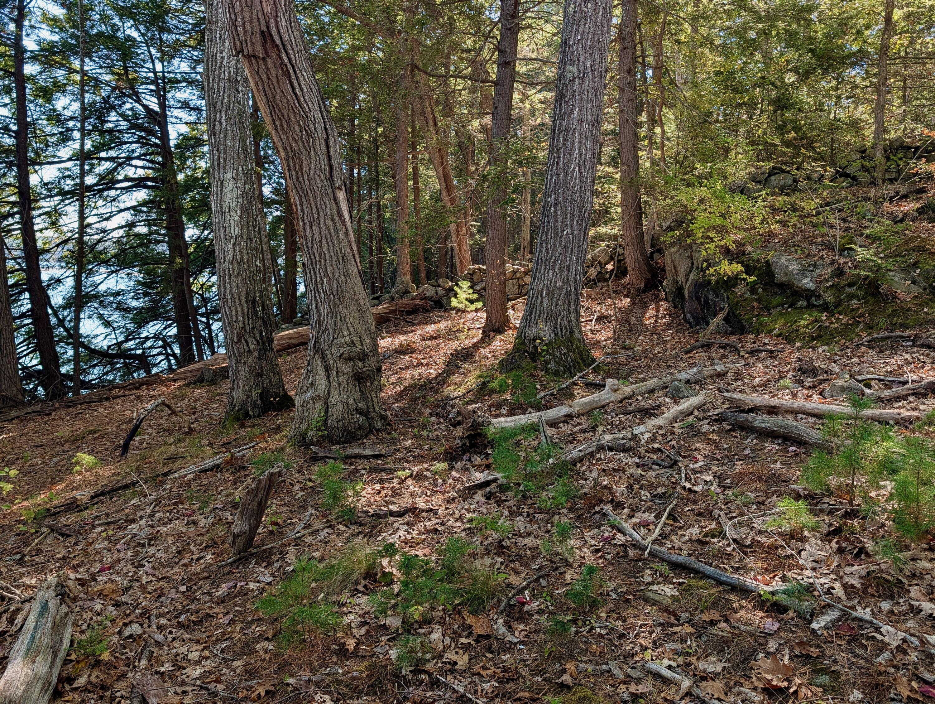 Lot 003905 White Road