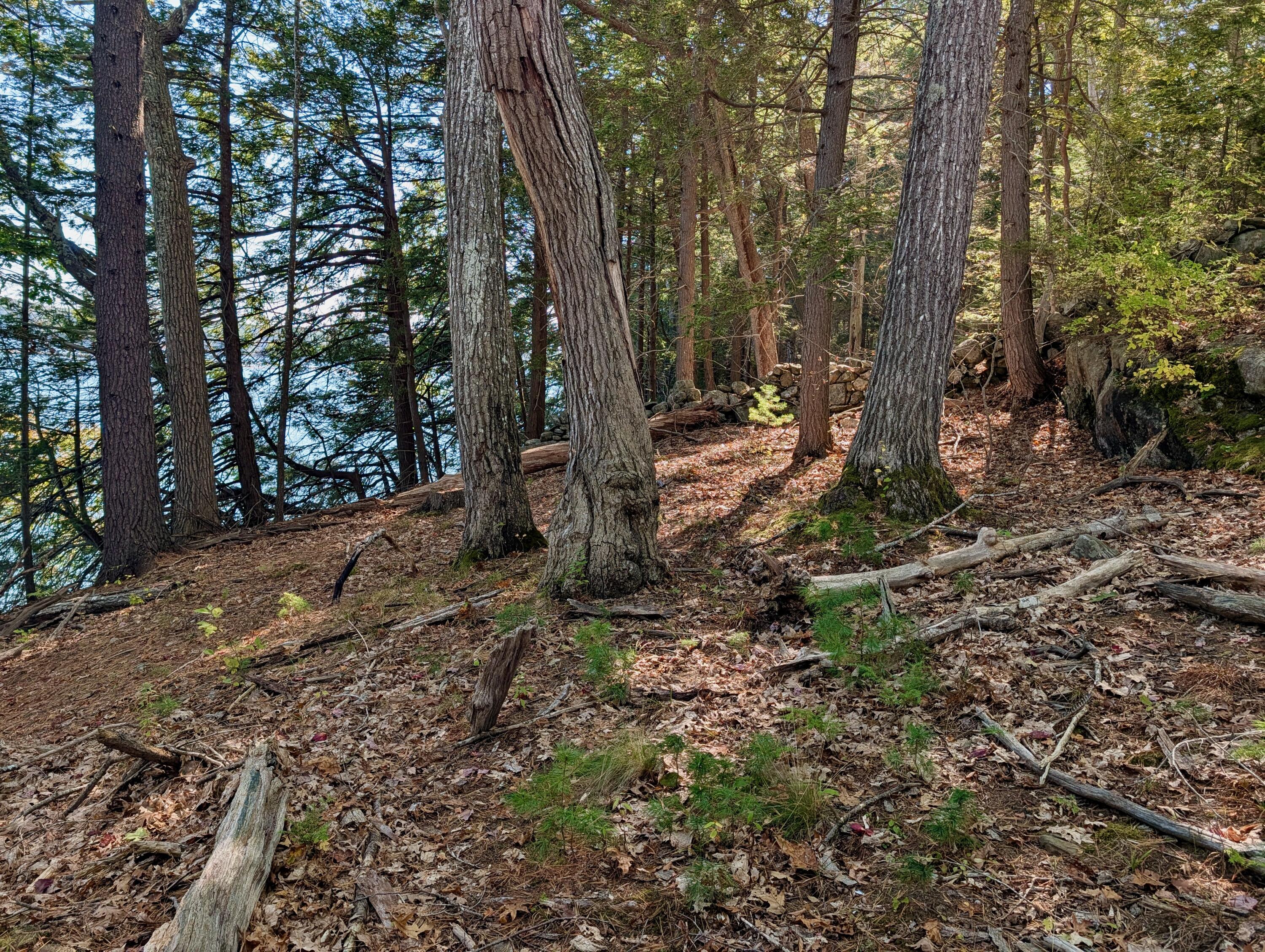 Lot 003905 White Road