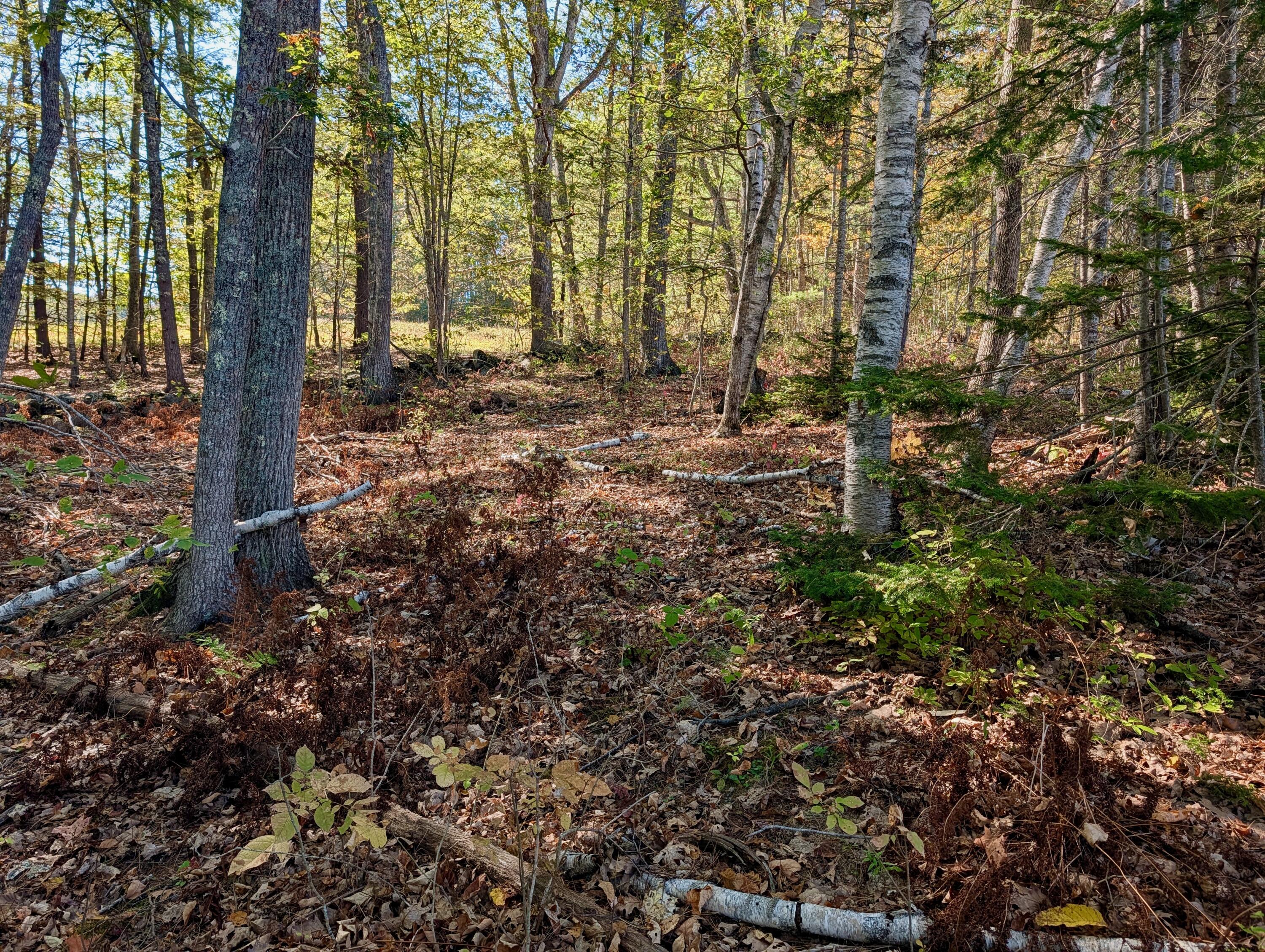 Lot 003905 White Road