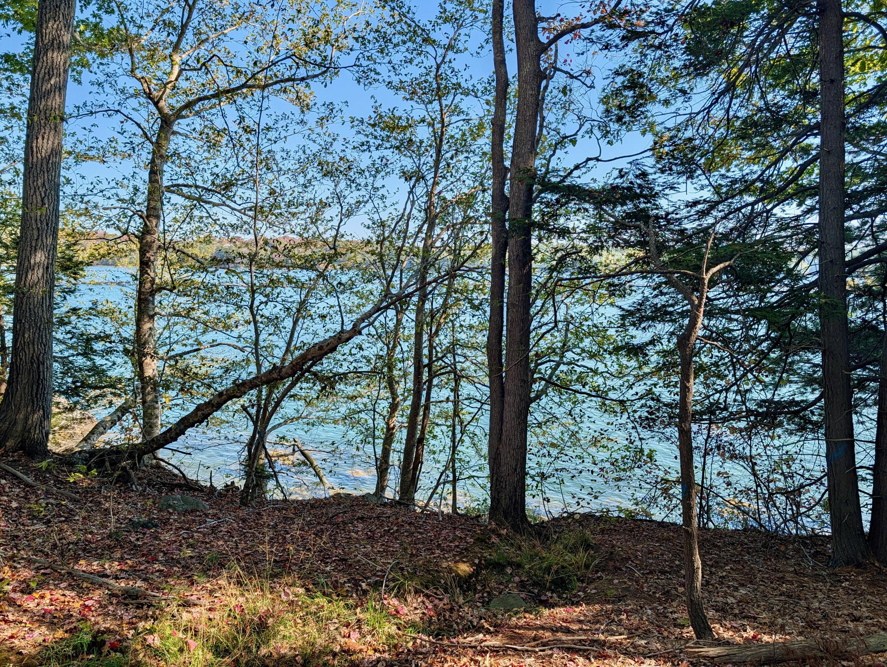Lot 003905 White Road
