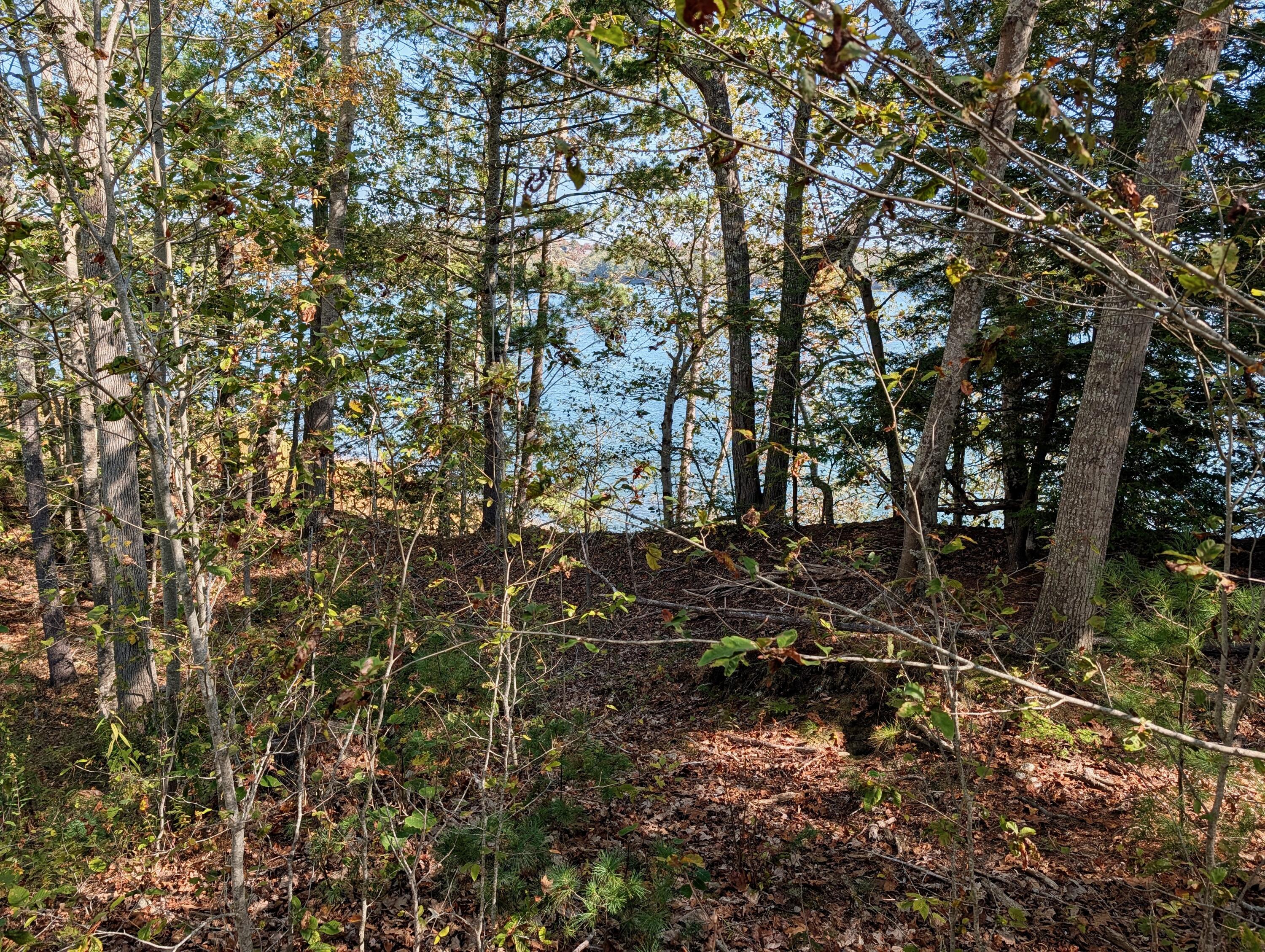 Lot 003905 White Road