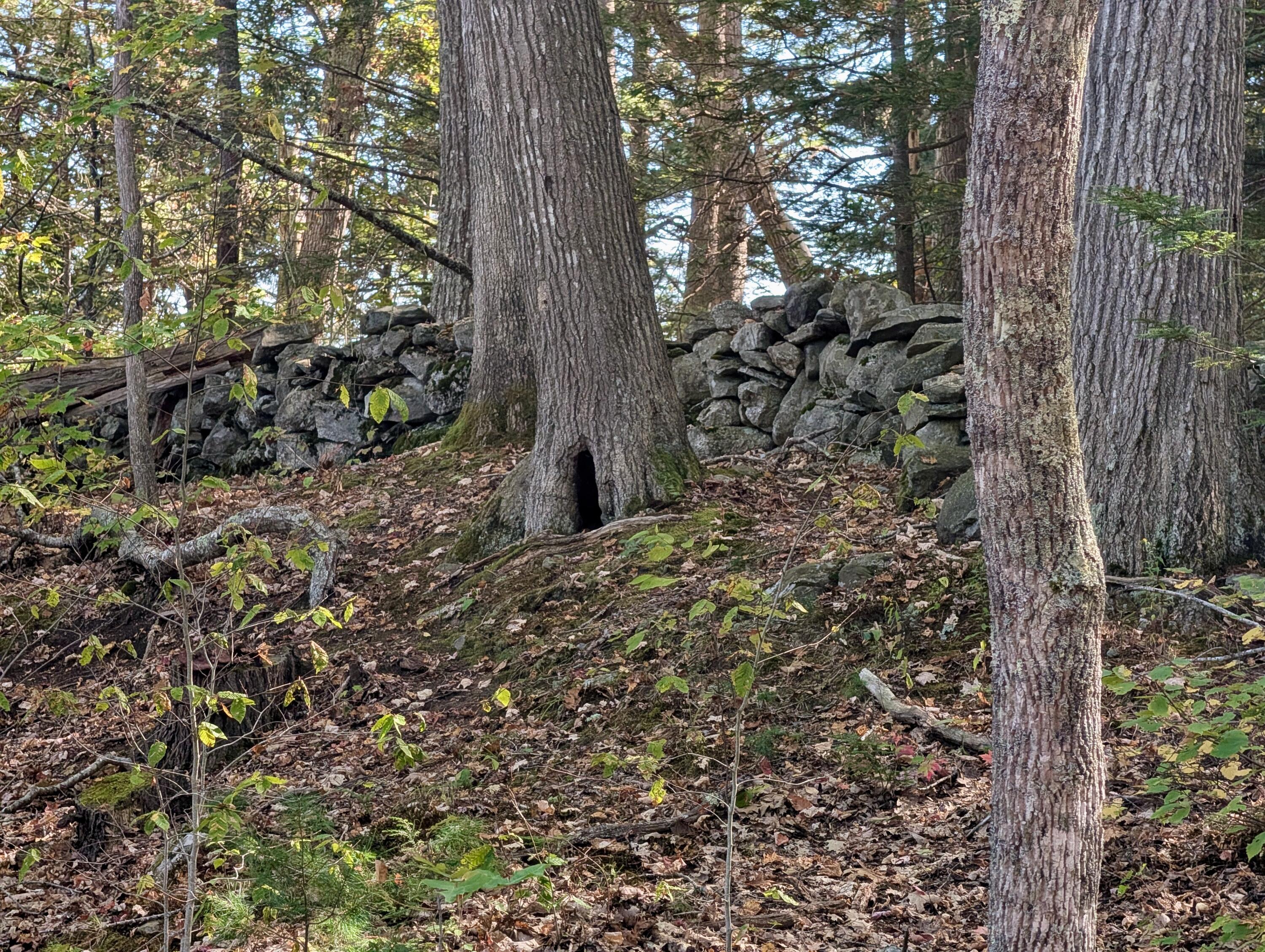 Lot 003905 White Road