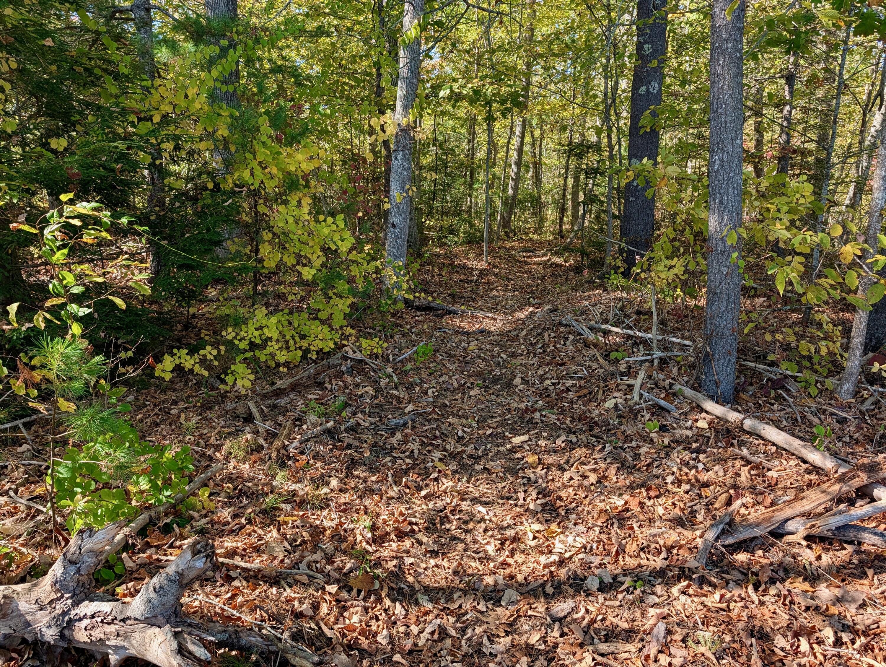 Lot 003905 White Road