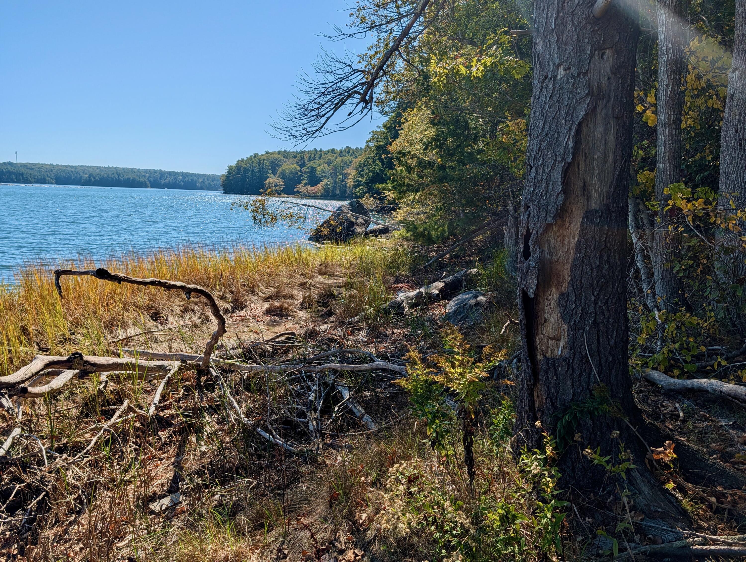 Lot 003905 White Road