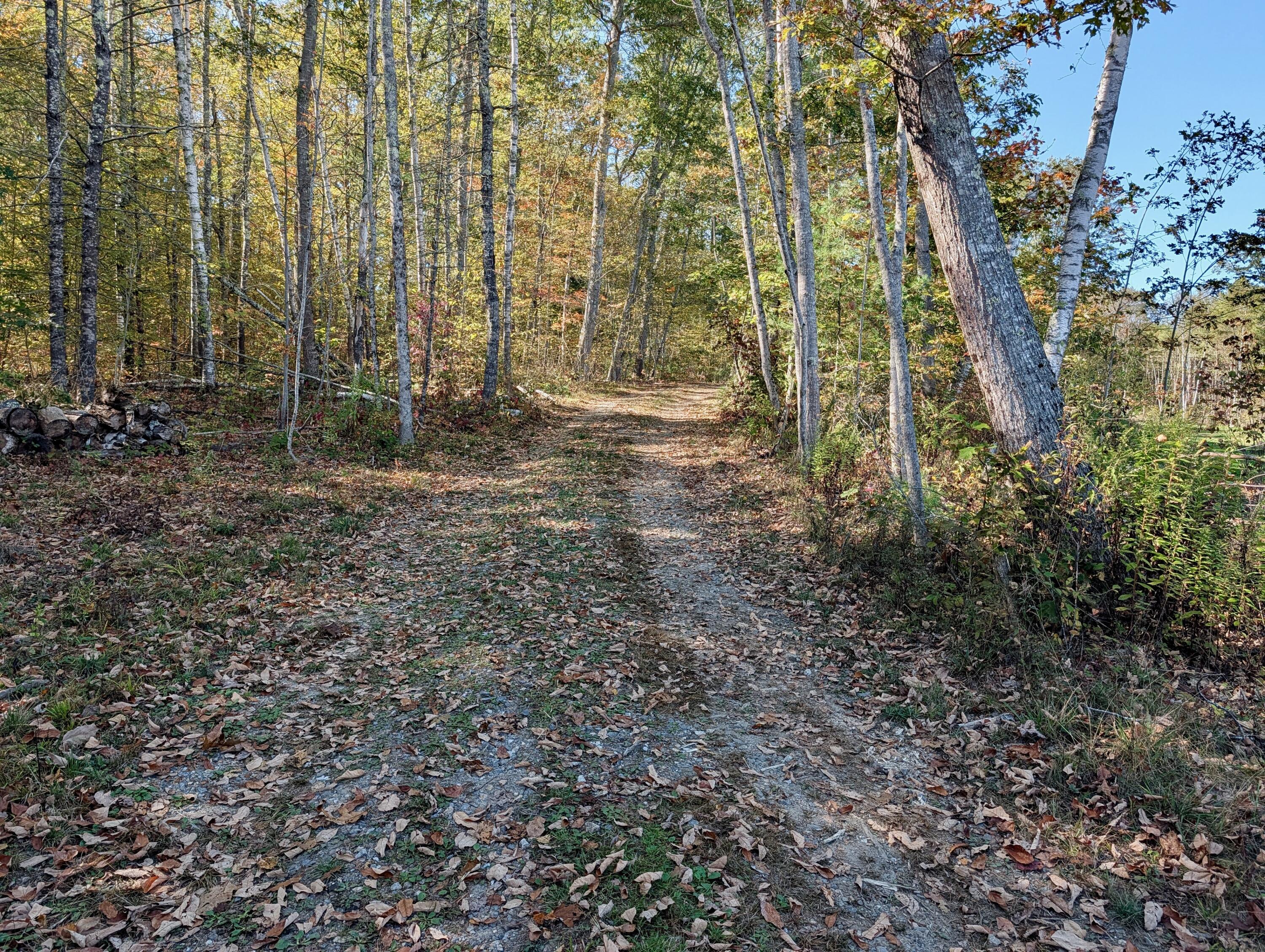 Lot 003905 White Road