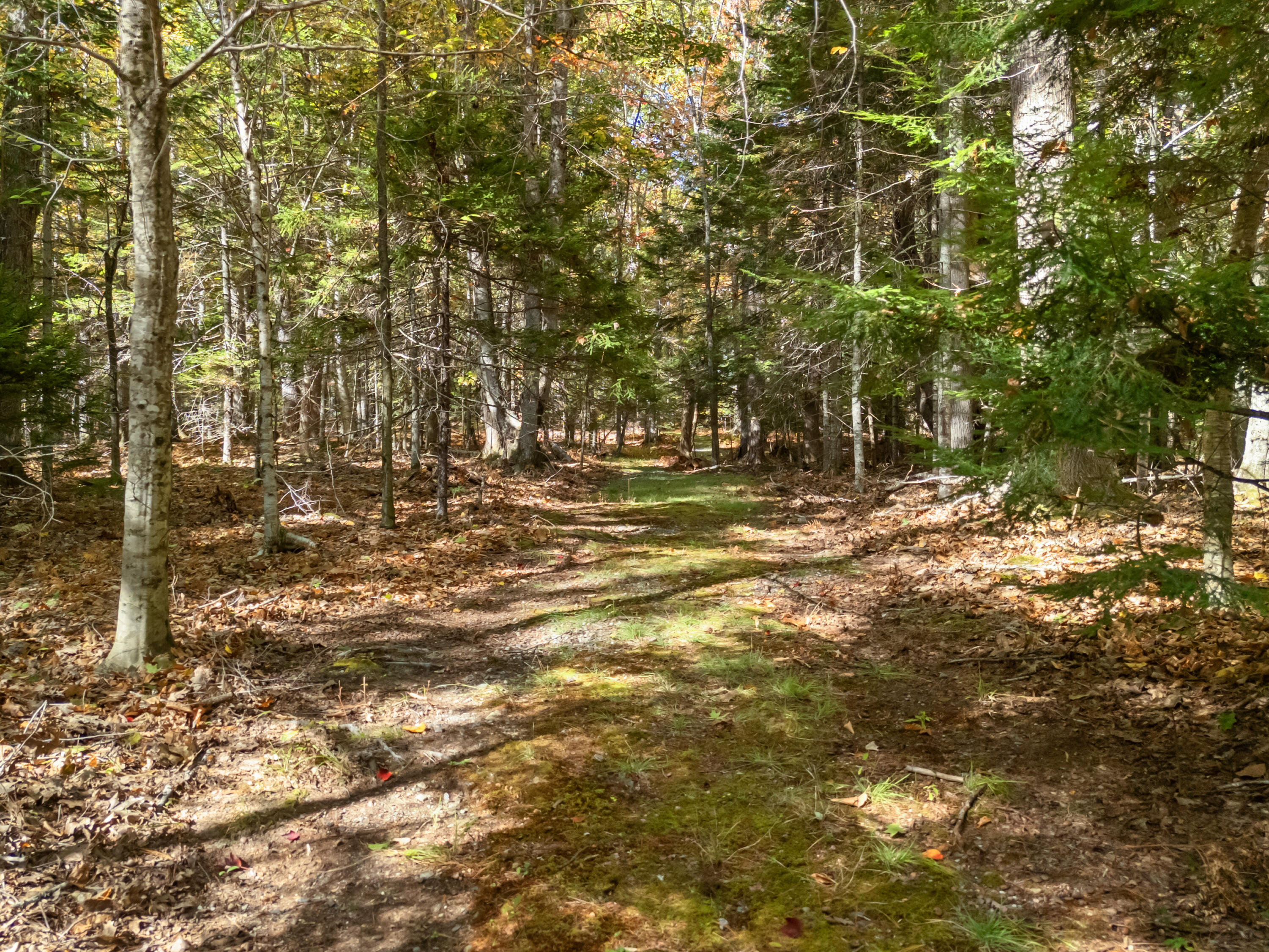 13 Hemlock Drive