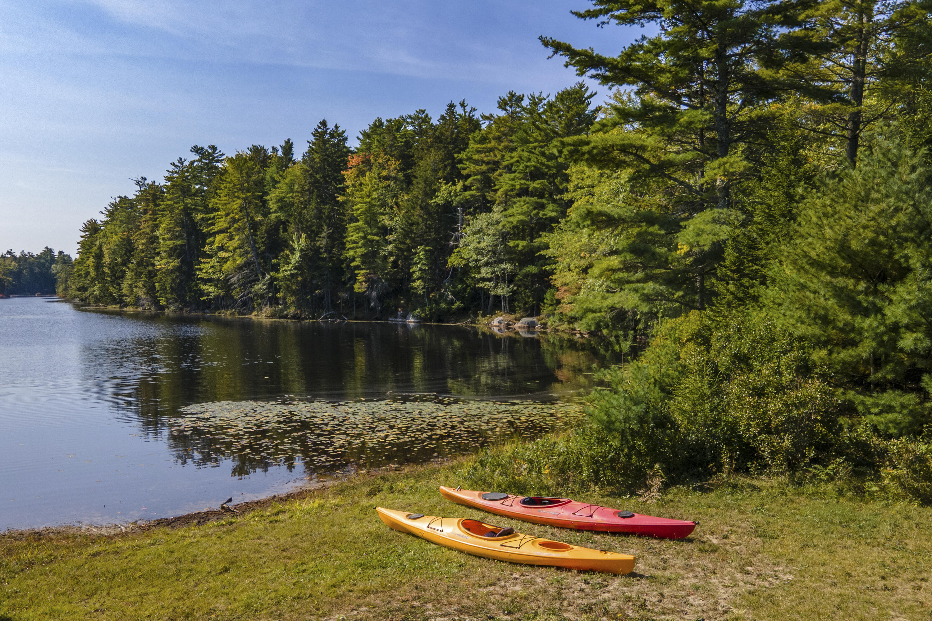 93 Abbott Cove Road