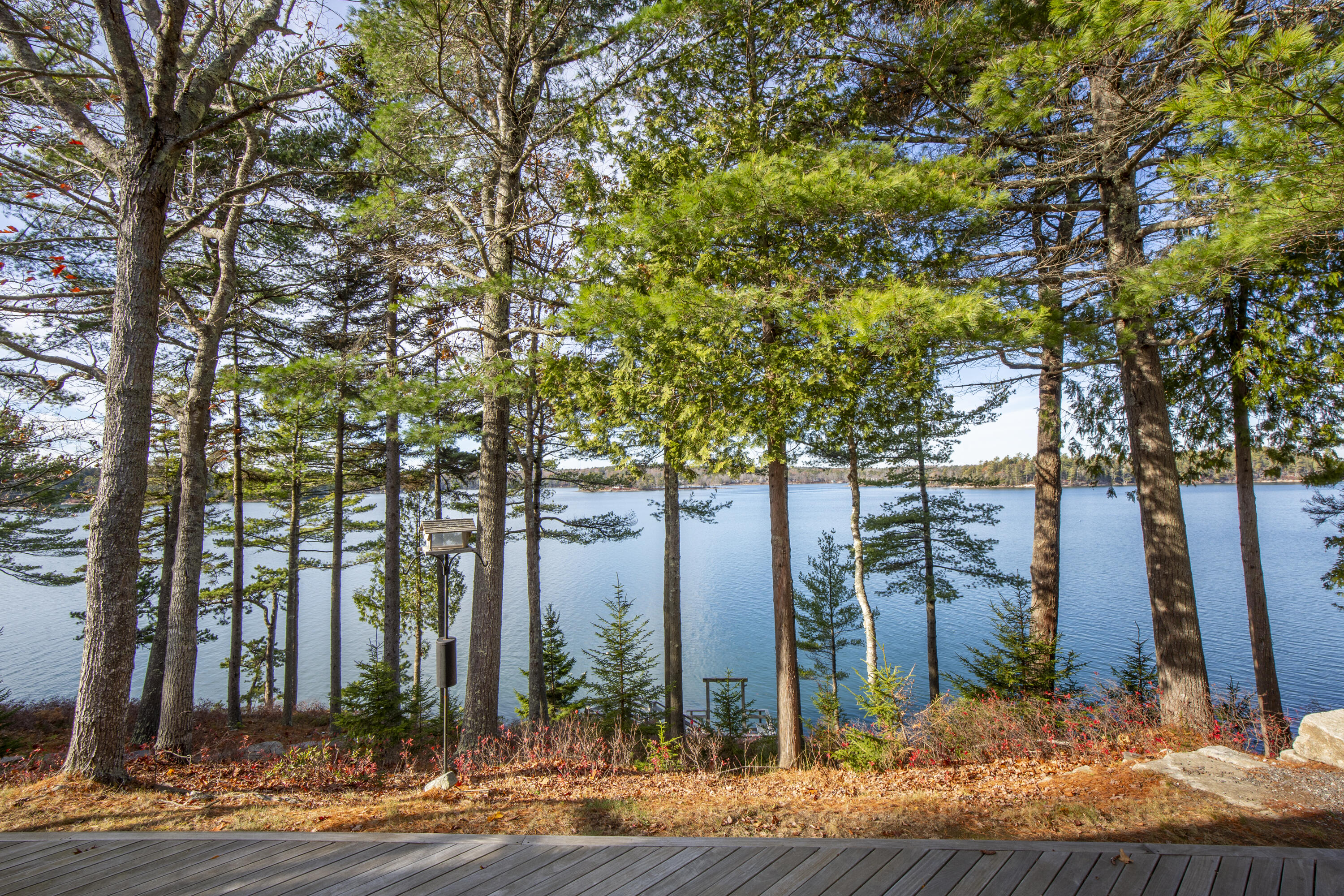 93 Abbott Cove Road