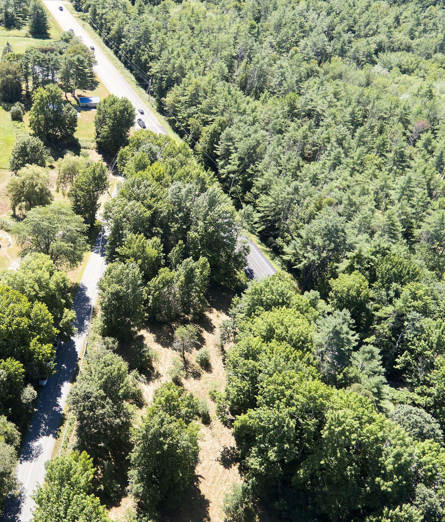 Lot 14 Map 11 Shepard Hill Road