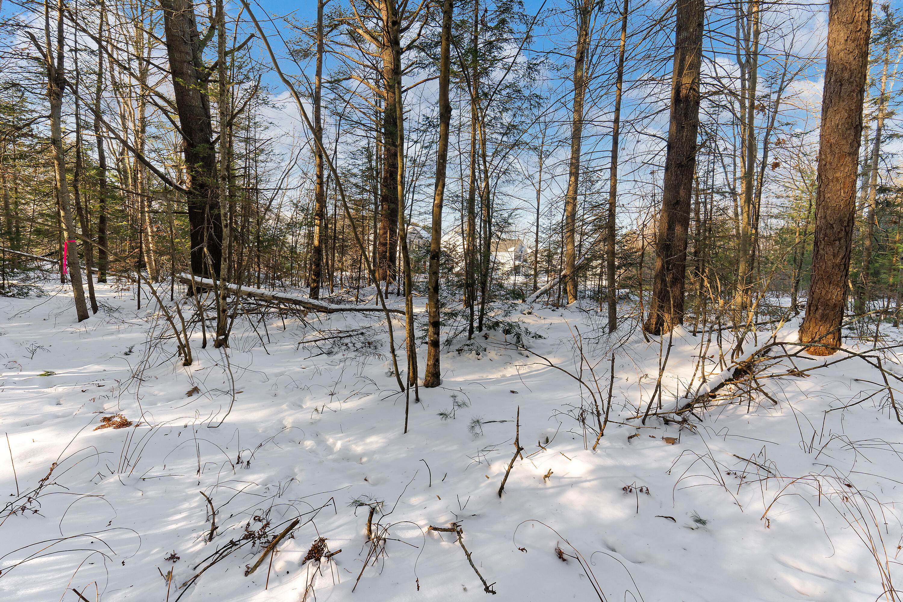 TBD Apple Brook Drive