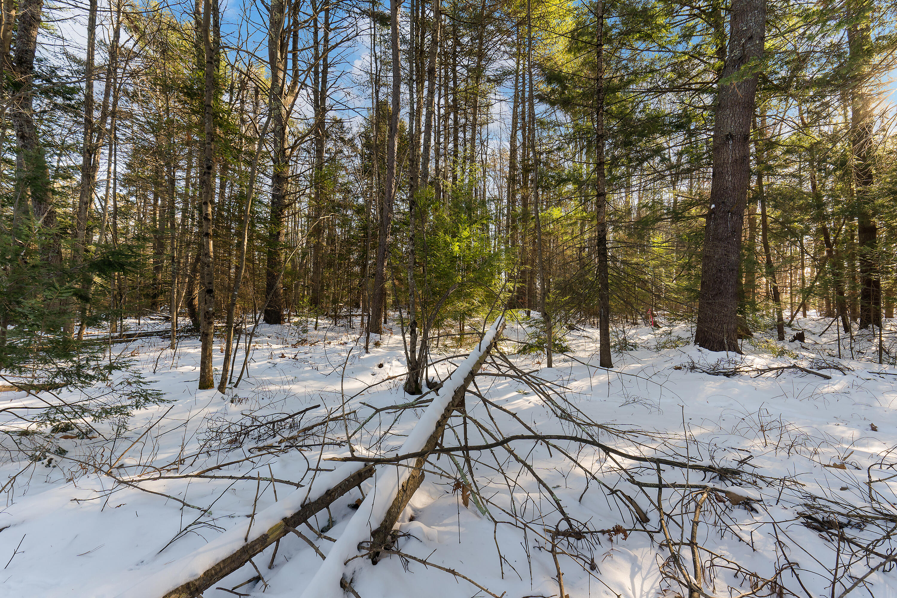 TBD Apple Brook Drive