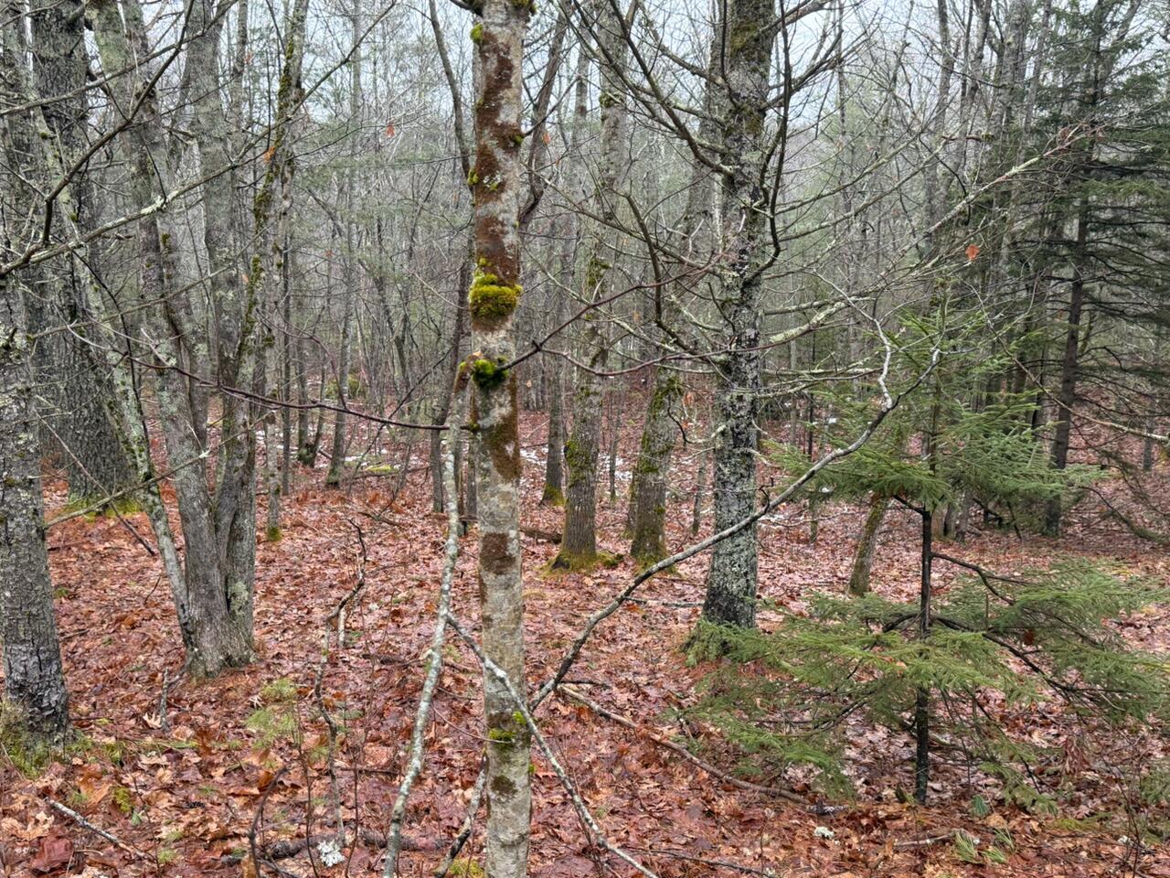 Lot 068003 Shore Road