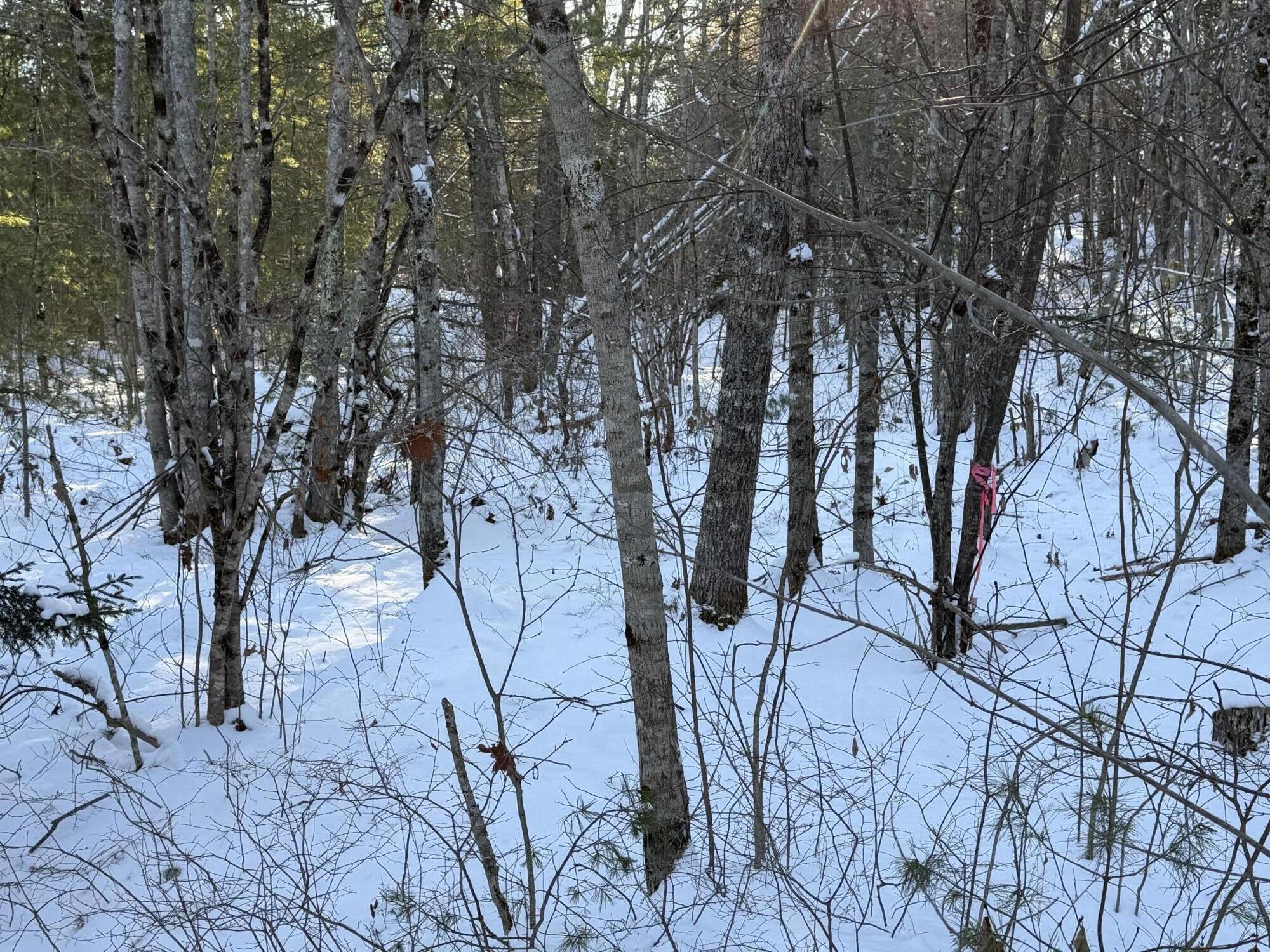 Lot 068003 Shore Road