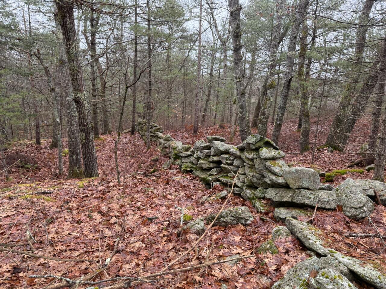 Lot 068003 Shore Road