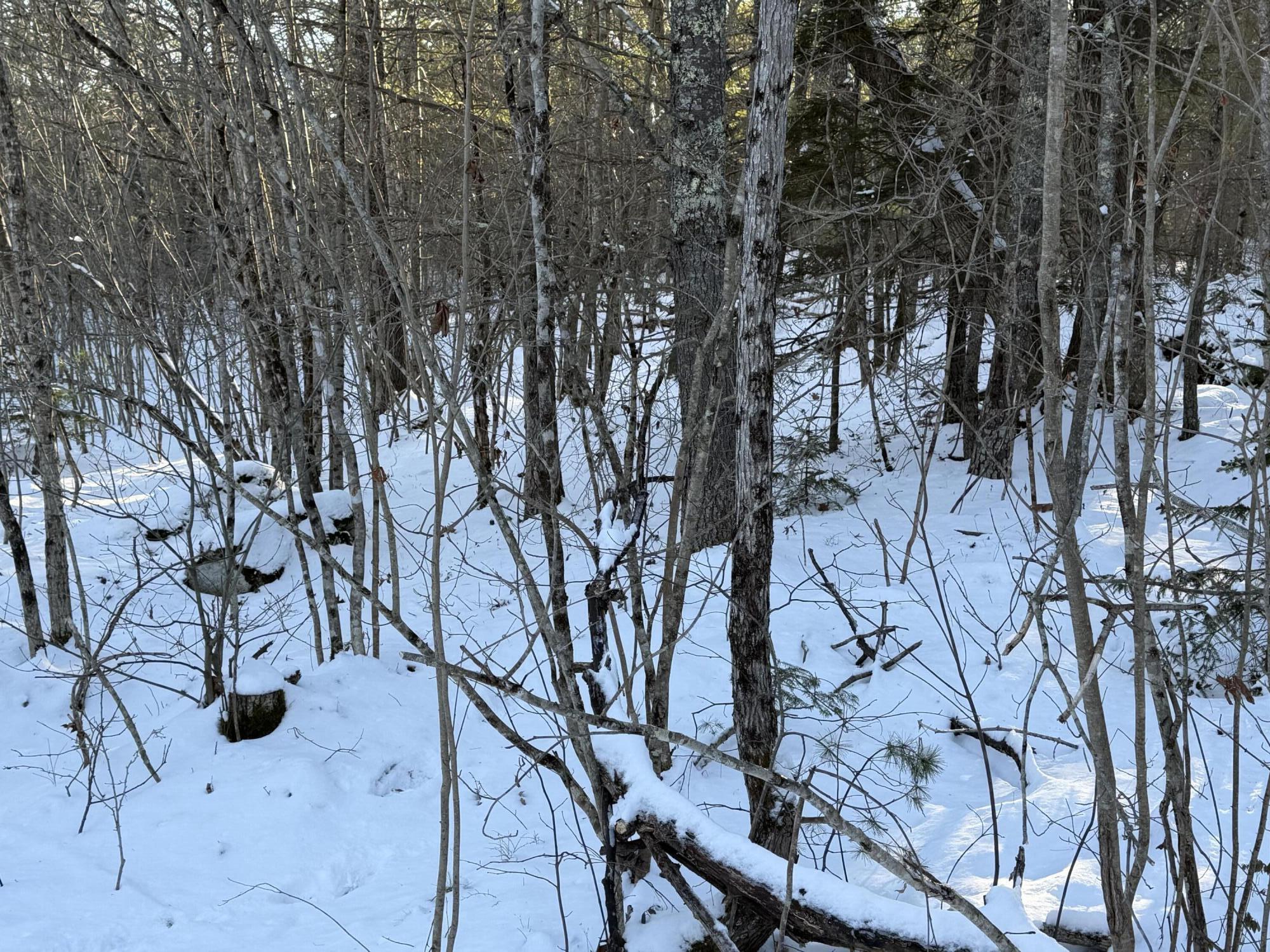 Lot 068003 Shore Road