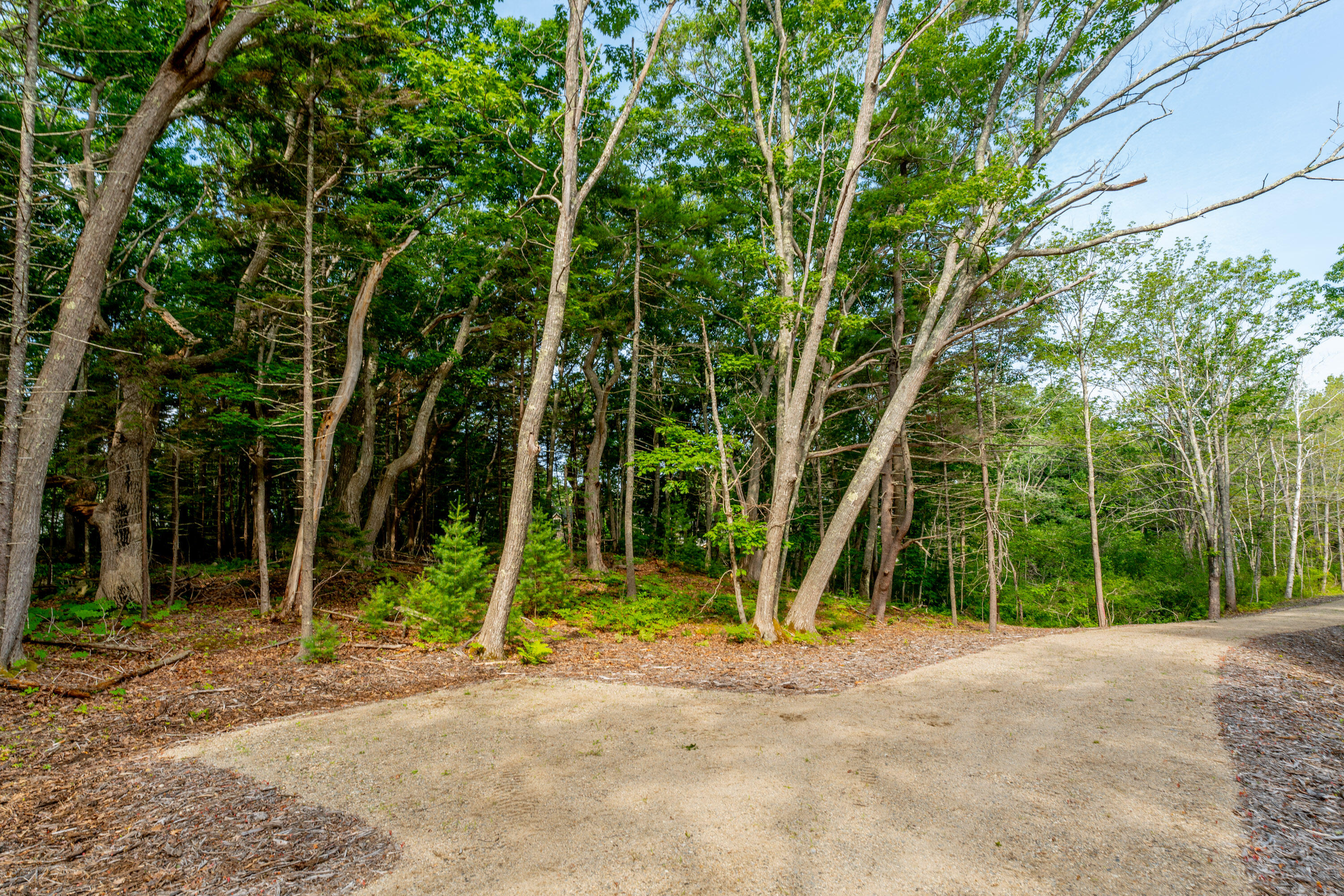 2A Ivy Lane