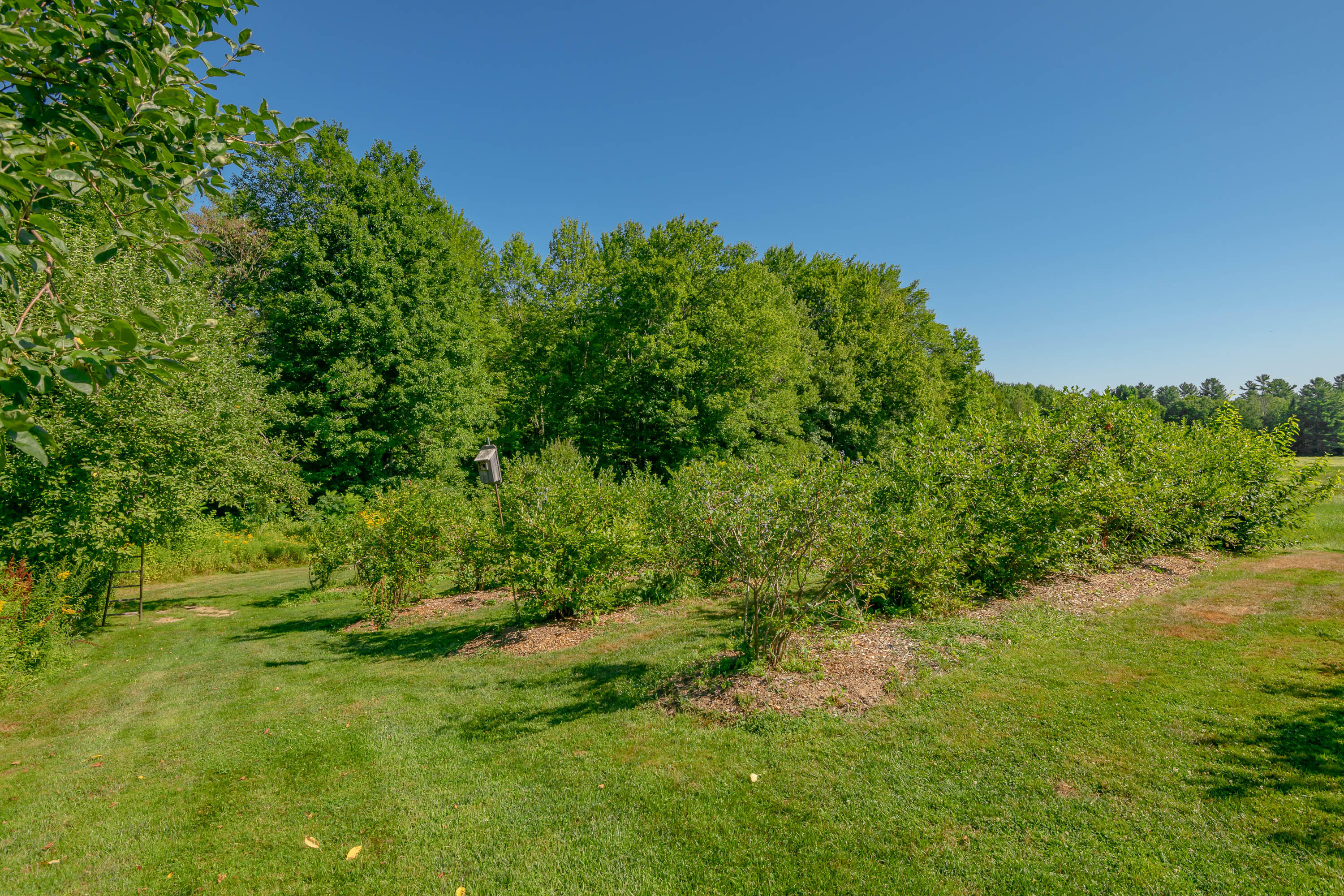 697 Fort Hill Road