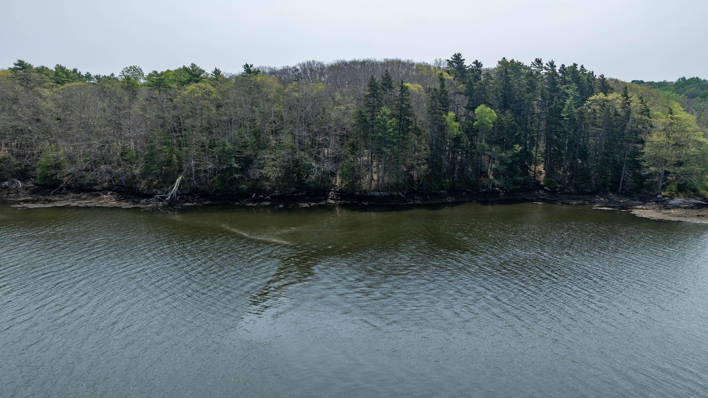Lot 45-B Cove Road