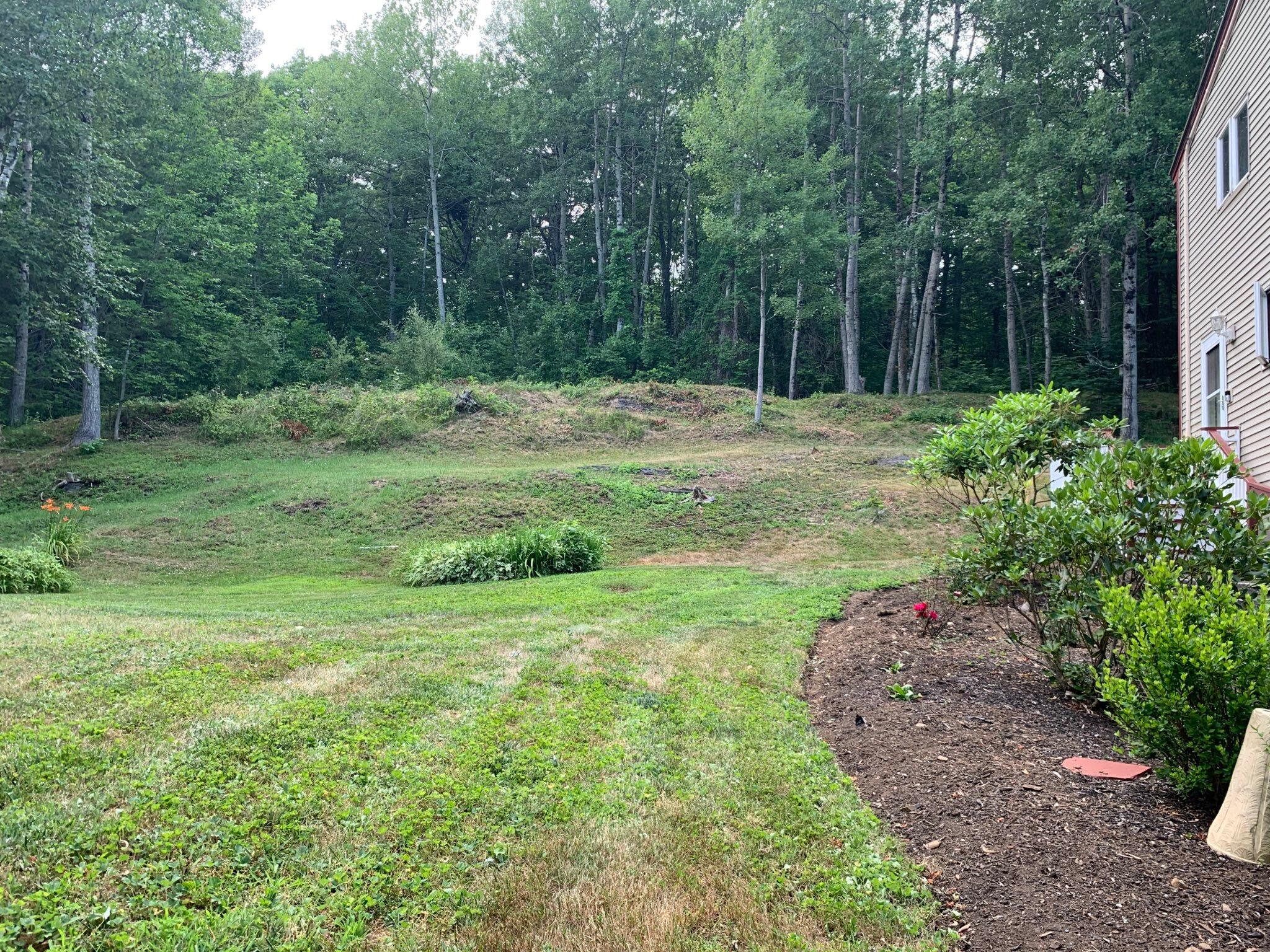 50 Woodledge Lane