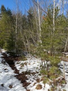 Lot 068002 Shore Road