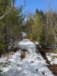 Lot 068002 Shore Road