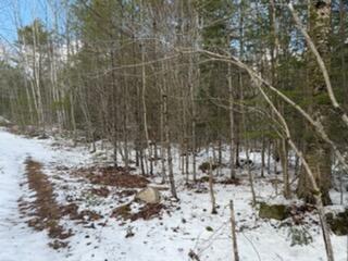 Lot 068002 Shore Road