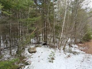 Lot 068002 Shore Road