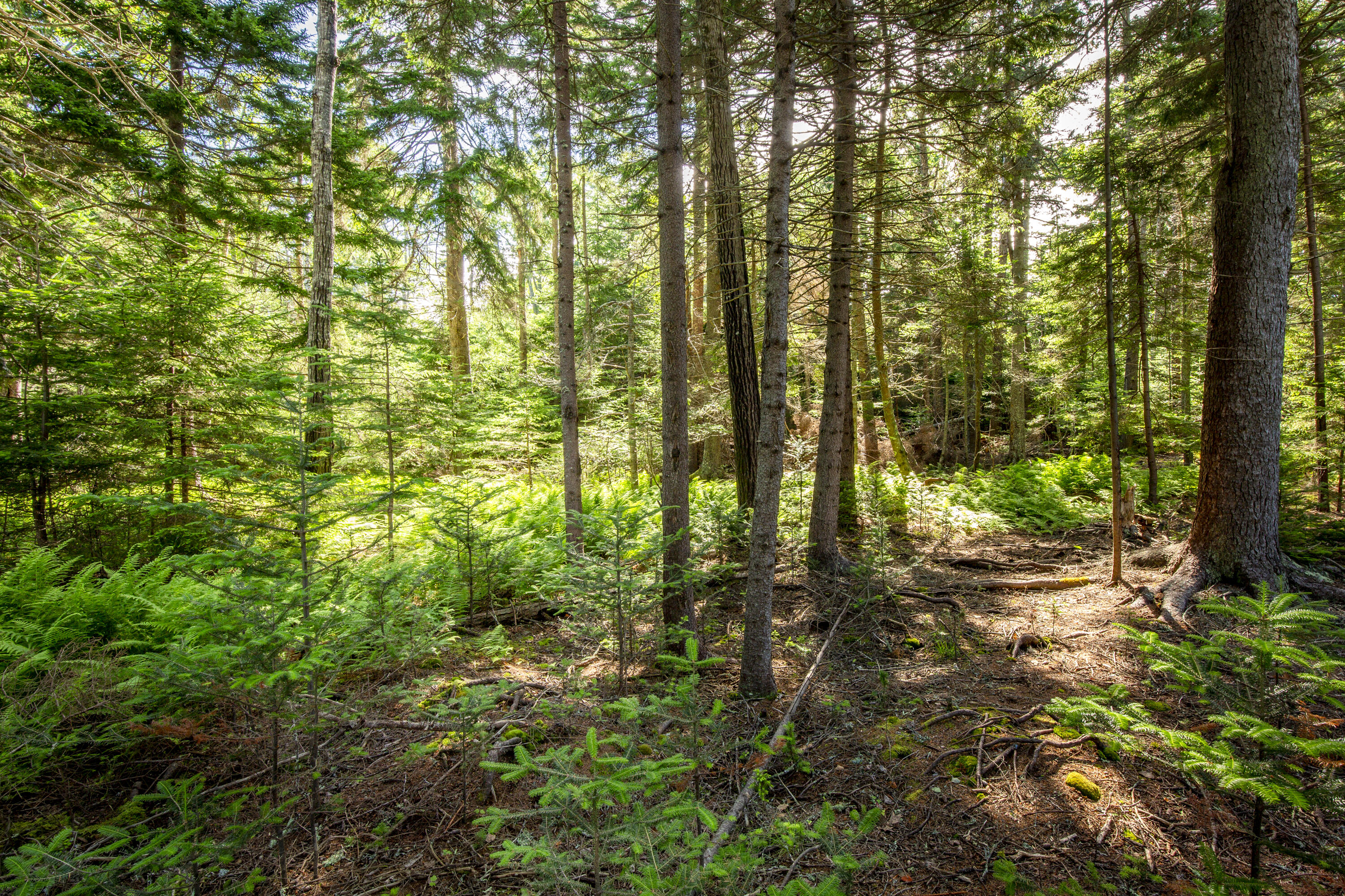 M15L20-TBD Golf Club Road