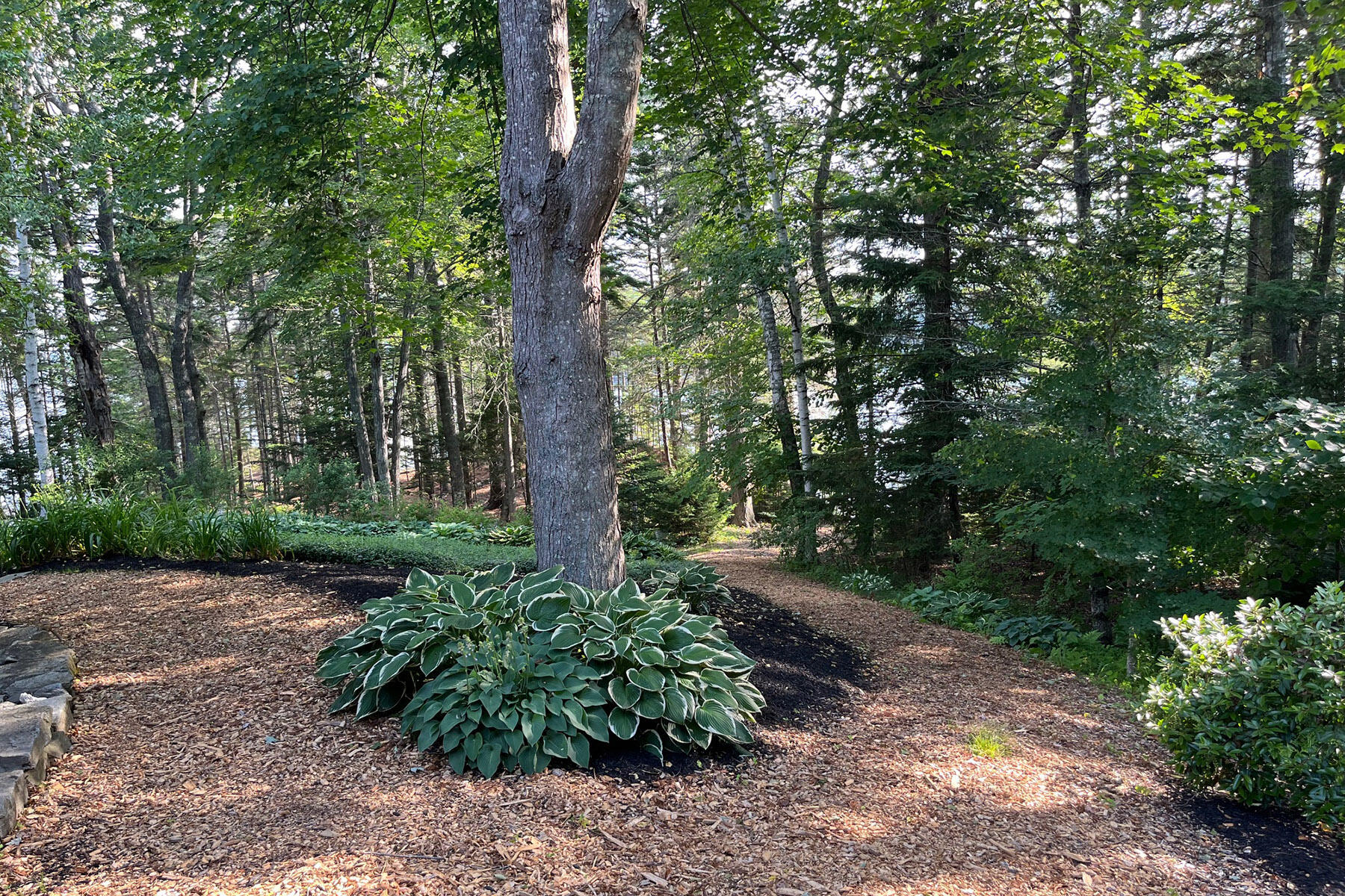 93 Governors Point Road
